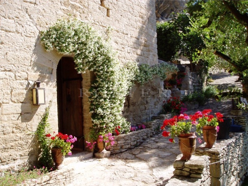 A vendre, en Luberon,  très originale maison semi troglodyte, avec dépendances sur 2 hectares avec une belle oliveraie.  