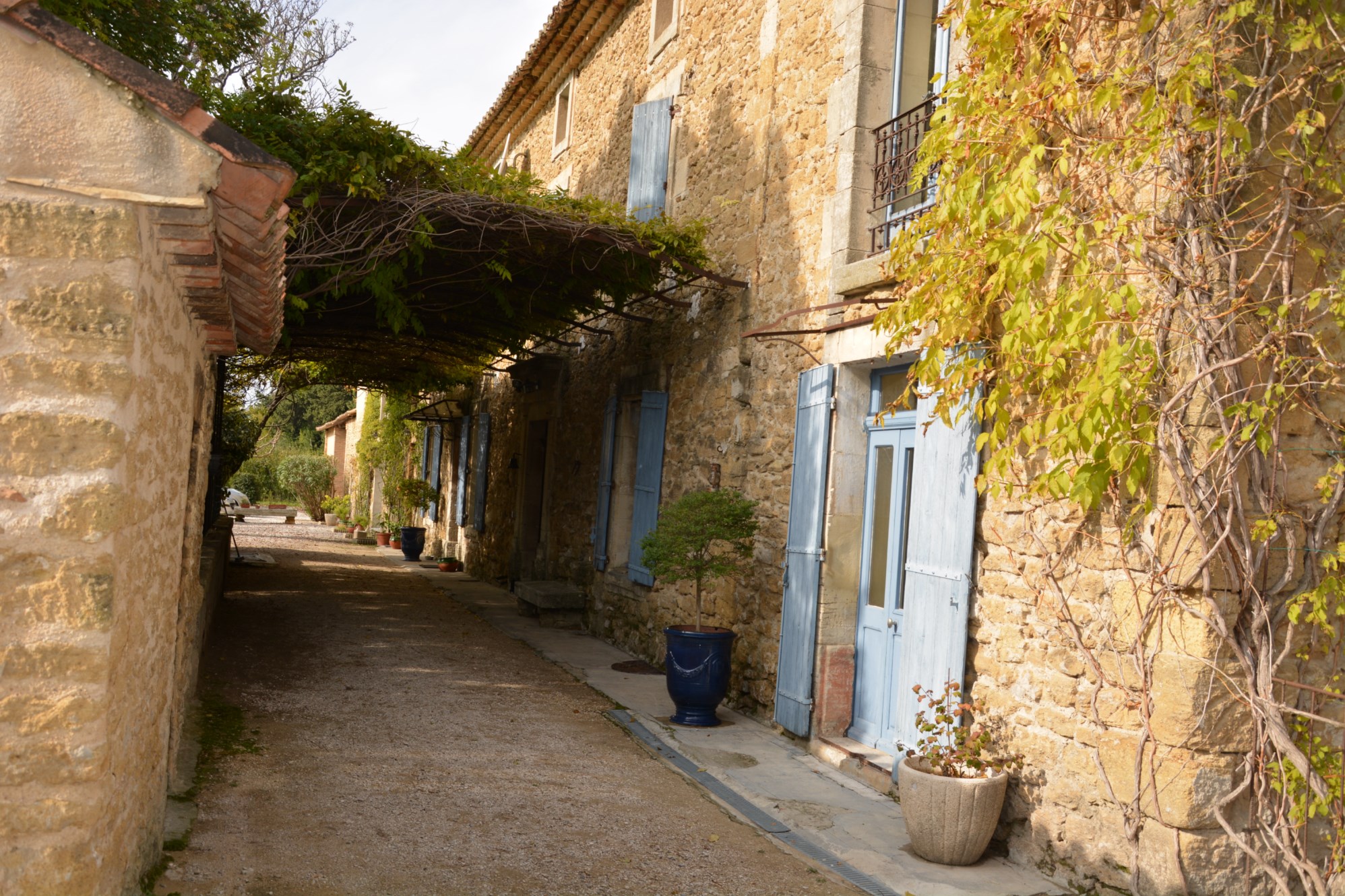 Mas ancien plein de caractère au milieu des vergers   en vente en Luberon