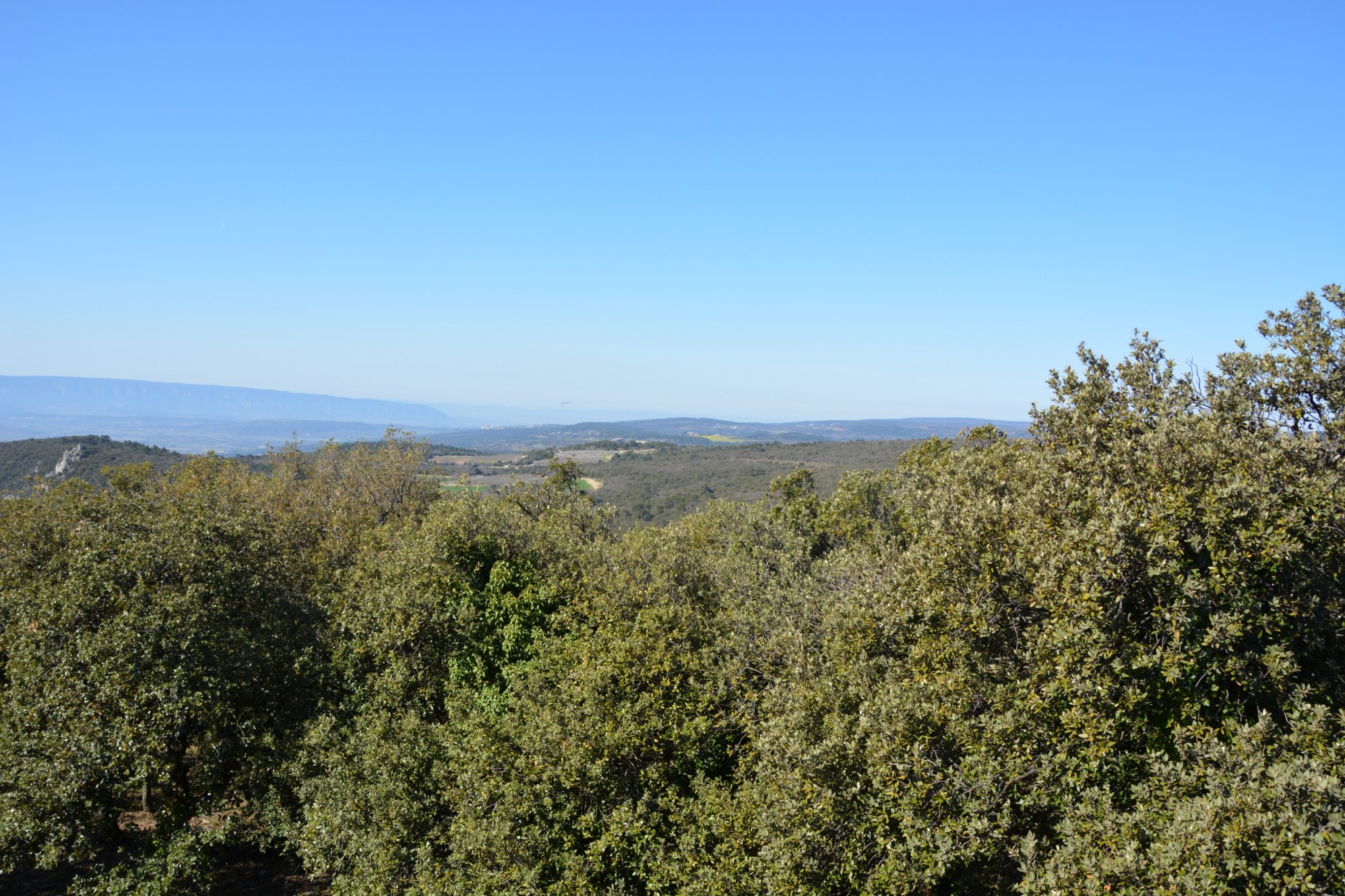A la vente, en Luberon, ensemble immobilier offrant de multiples possibilités   