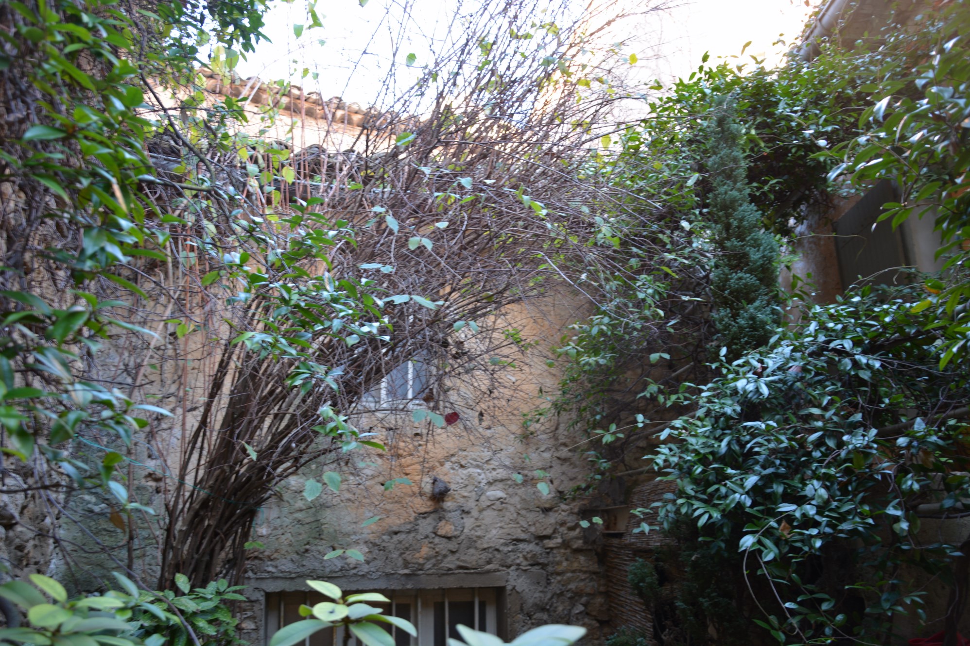 Maison avec cours à vendre par ROSIER