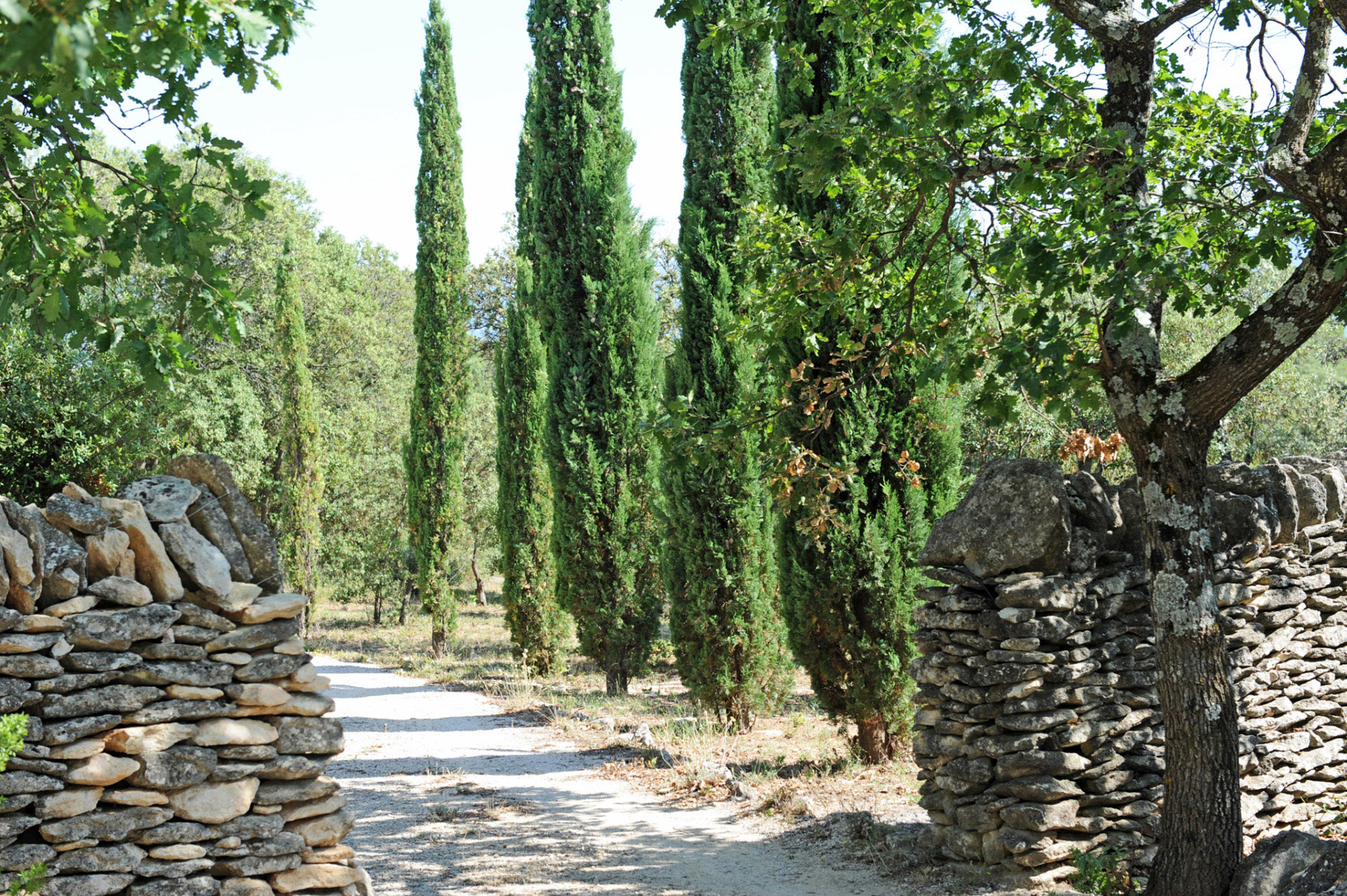Proche Gordes,  exceptionnel domaine privé avec 2 maisons, 2 piscines, loft et tennis  