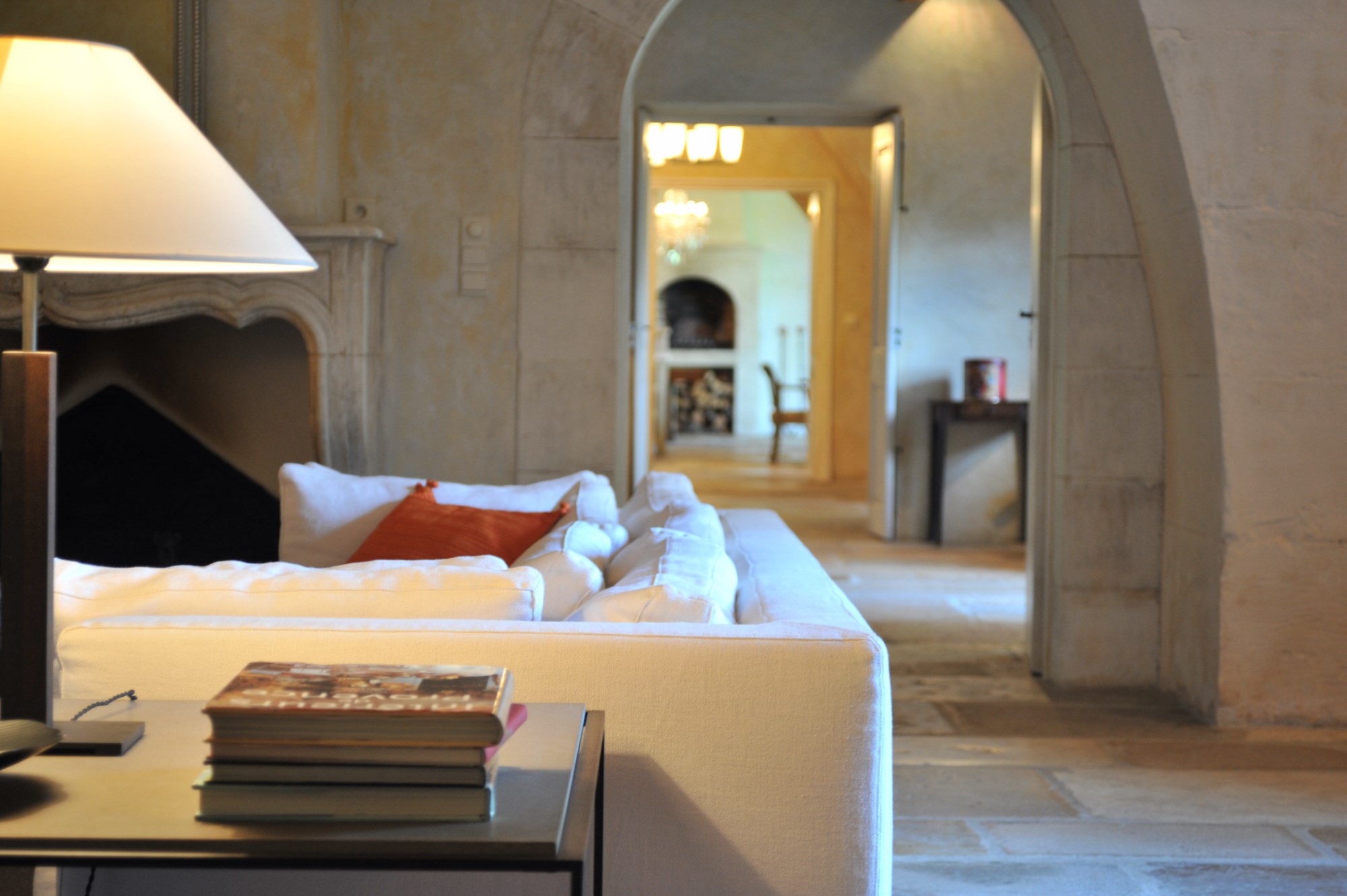 Alpilles,  à vendre, exceptionnelle propriété, composée d'un mas en pierres et de ses dépendances  agrémentée d'un jardin de plus de 2000 m² avec piscine et pool house 
