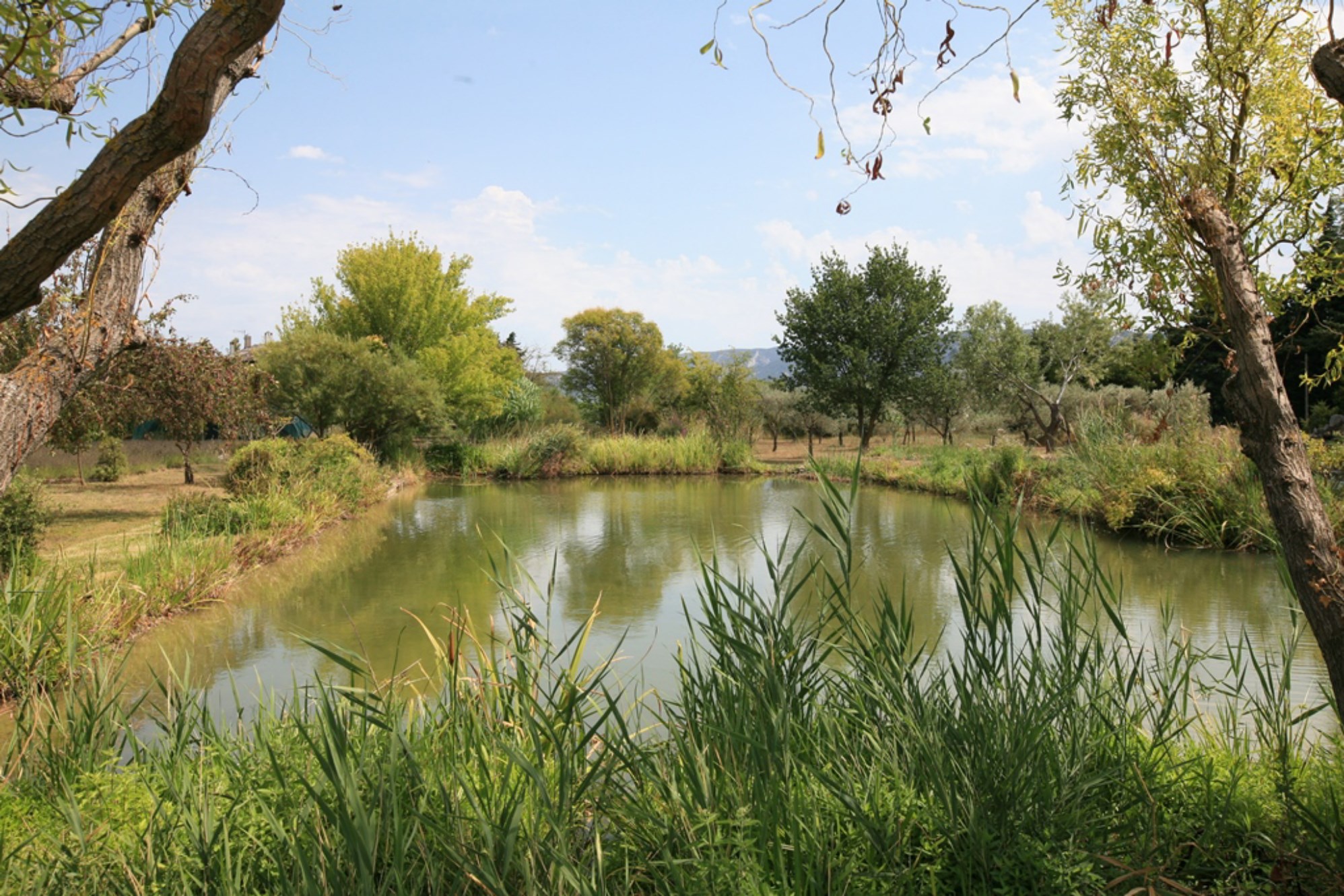 Luberon - Mas sur une propriété avec bassins et jeux d'eau   