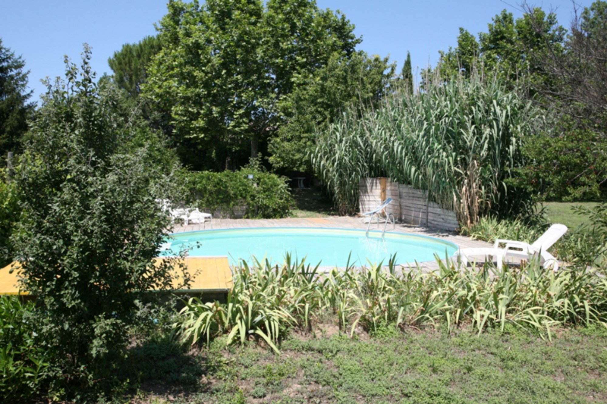 En vente, en Luberon, beau mazet provençal à rénover, quatre chambres, sur 16 000 m² de terrain