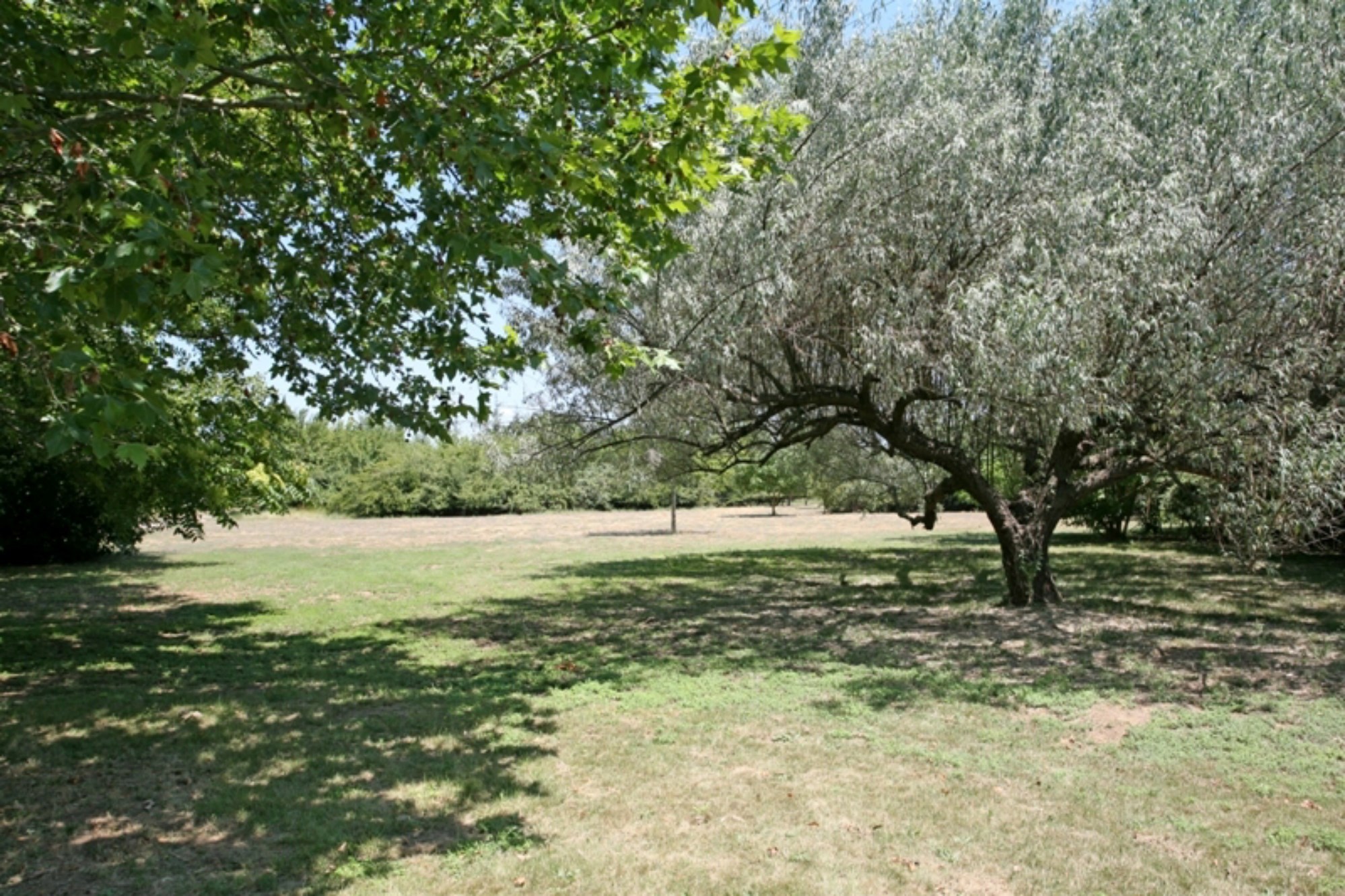 En vente, en Luberon, beau mazet provençal à rénover, quatre chambres, sur 16 000 m² de terrain