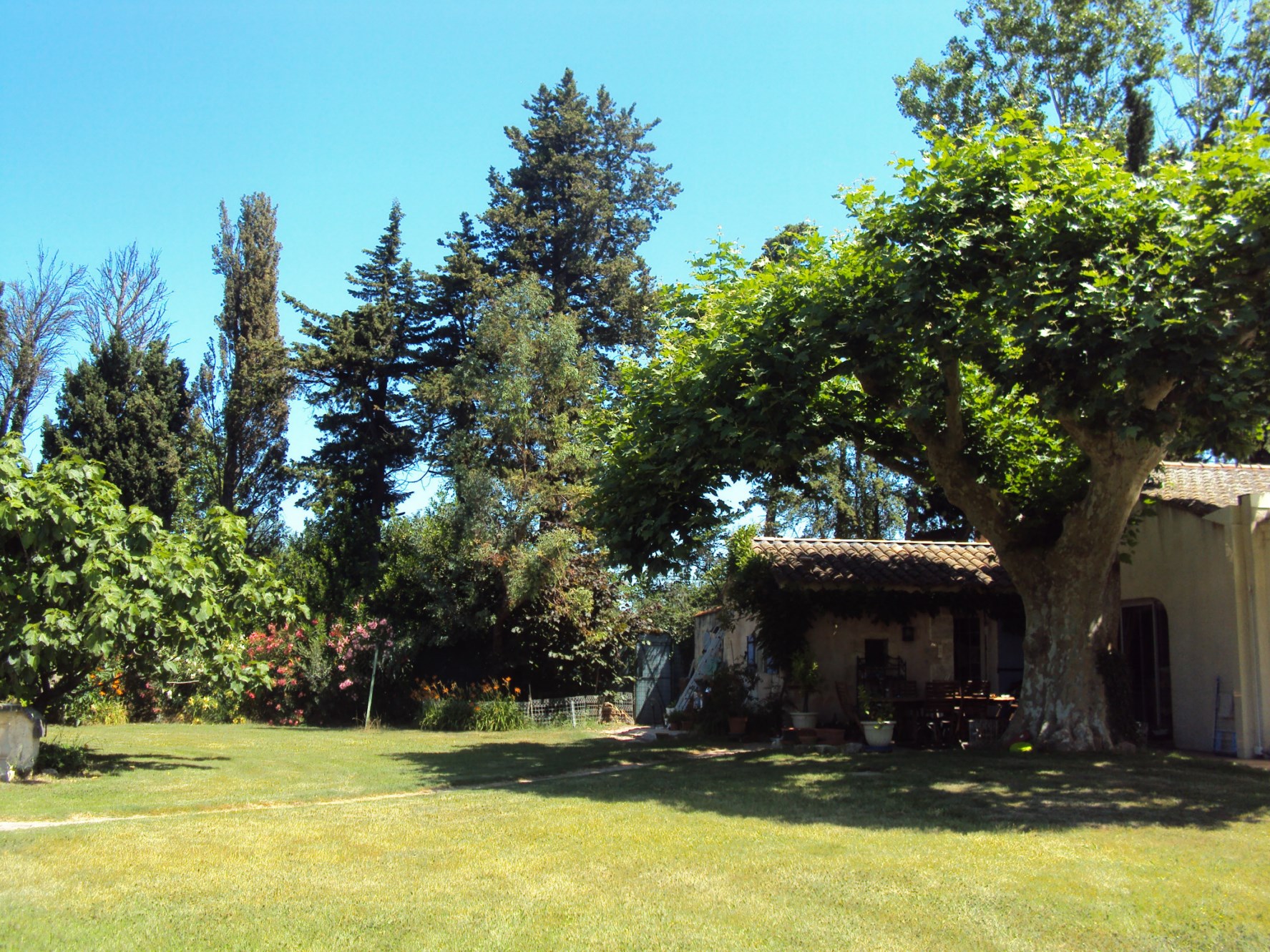 A vendre,  entre Alpilles et Luberon, maison au milieu d'un parc avec piscine 