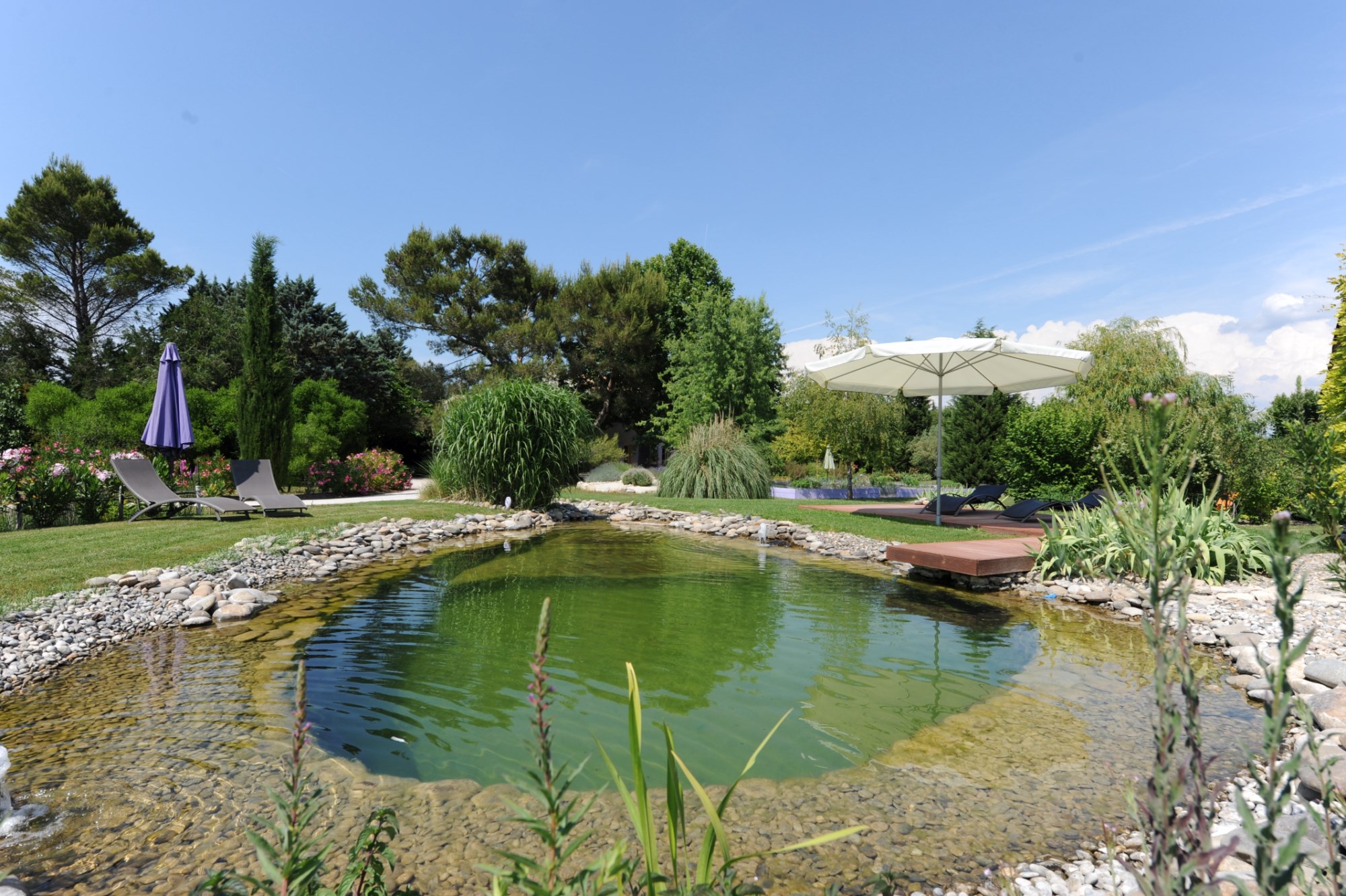 Mas ancien restauré avec piscine bio à vendre