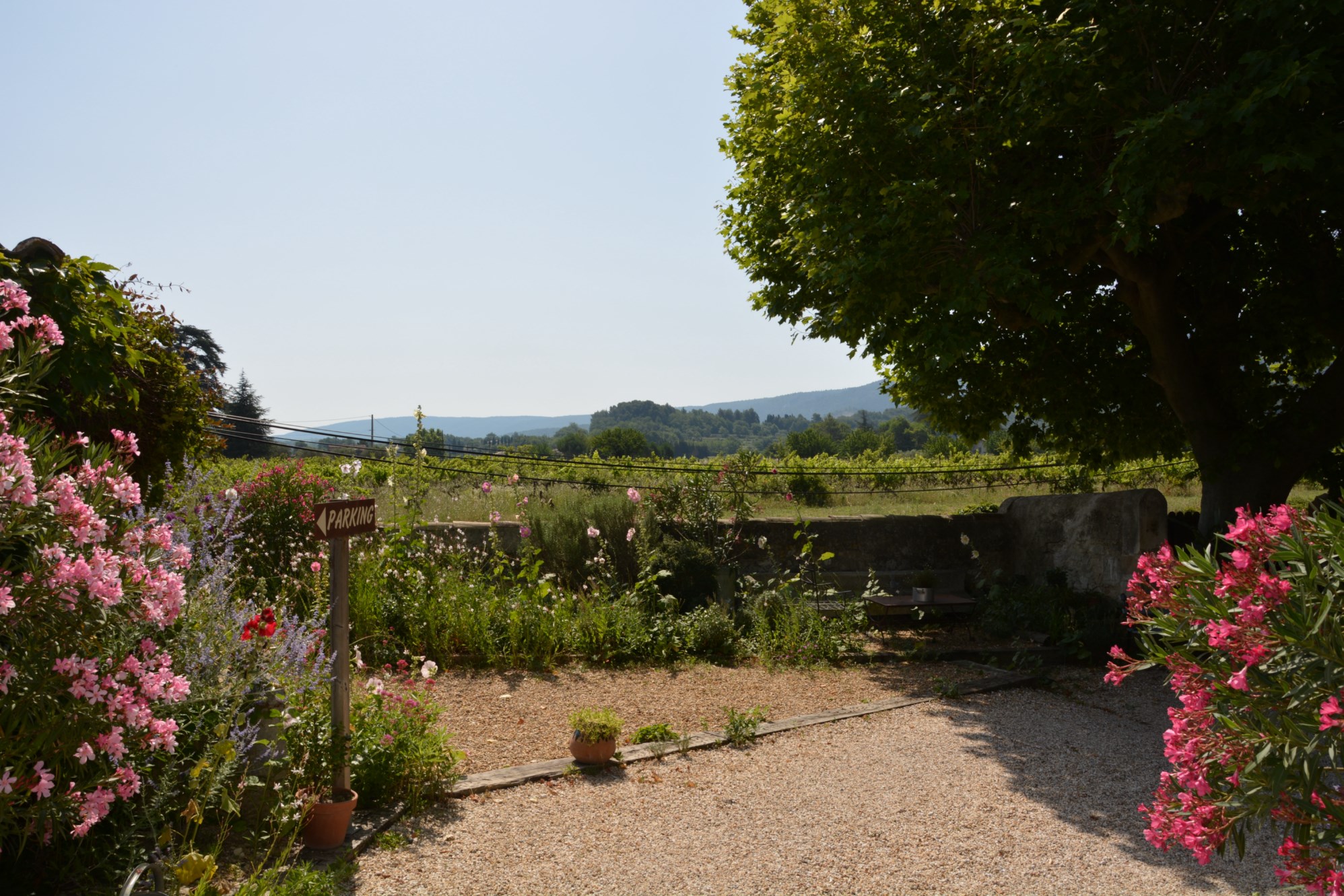 Luberon - Grand mas avec plusieurs dépendances.   