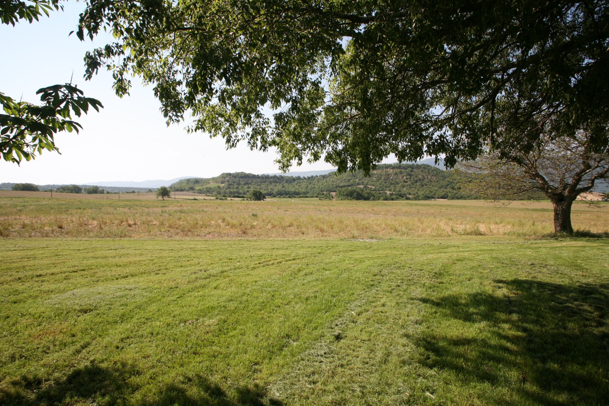 A vendre,  Luberon, belle bastide à réaménager sur plus de 4 hectares 