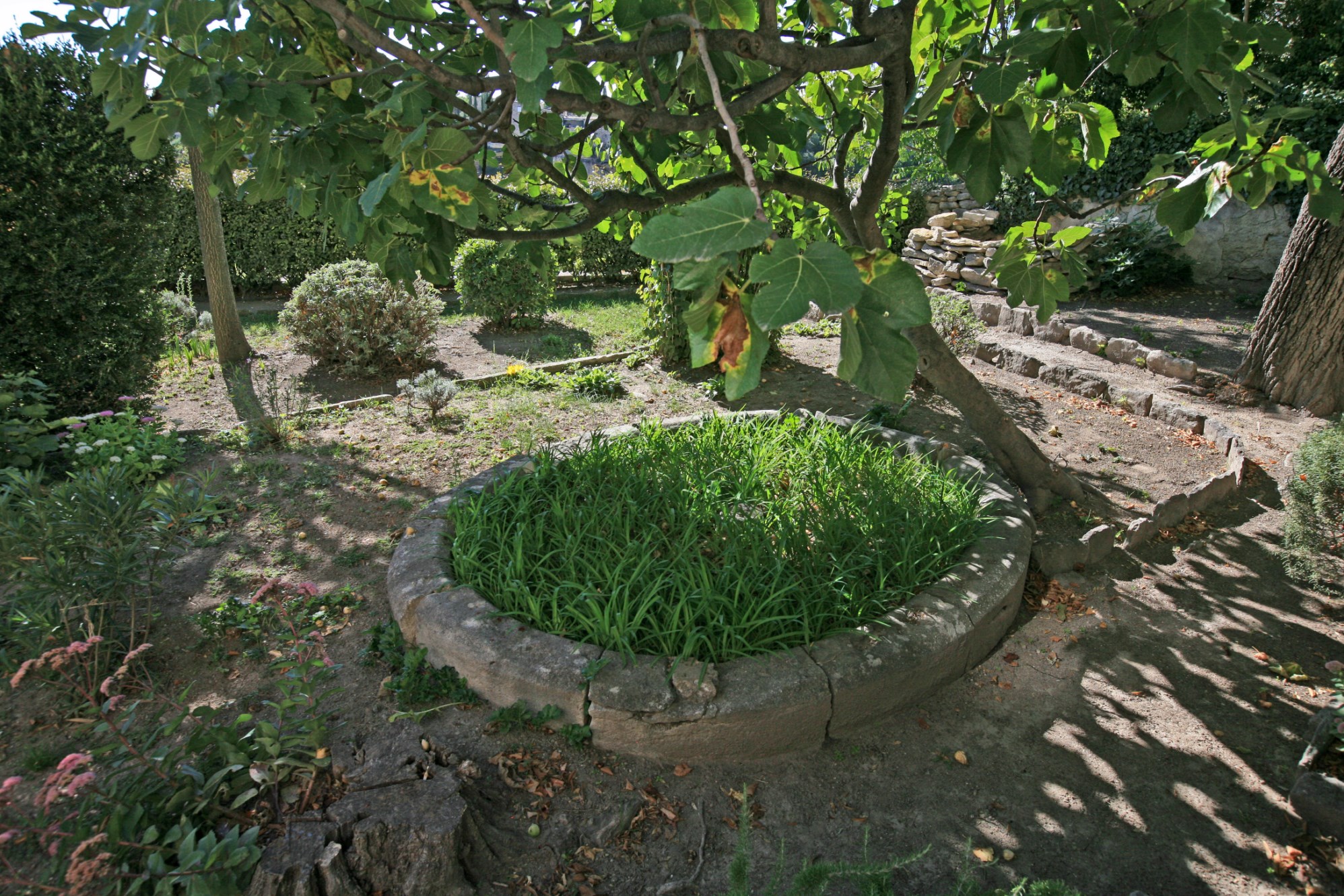 En vente, en Luberon, rare et authentique maison de village avec jardin et vue    