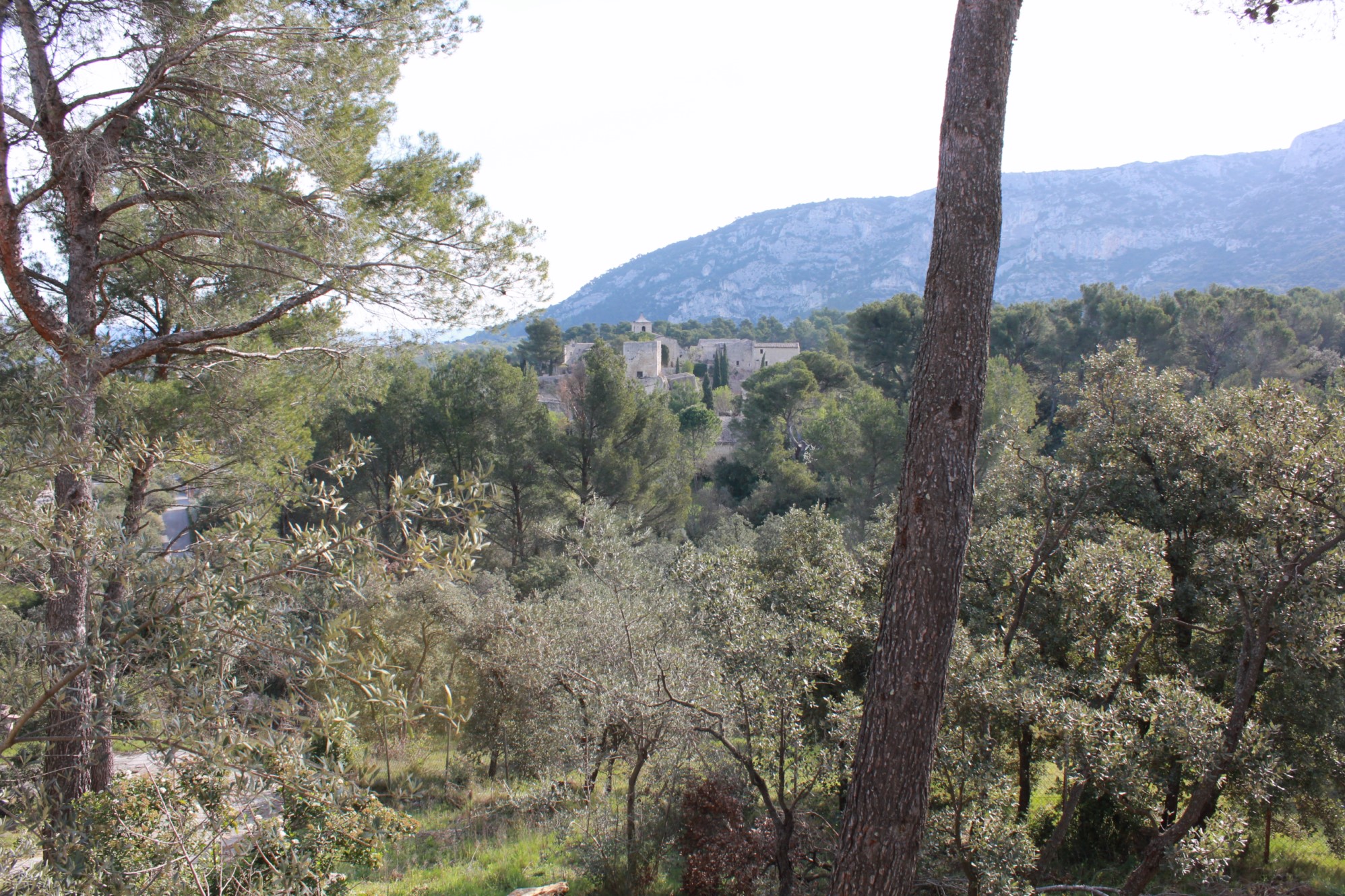 Grande maison traditionnelle en pierre dans le Luberon    