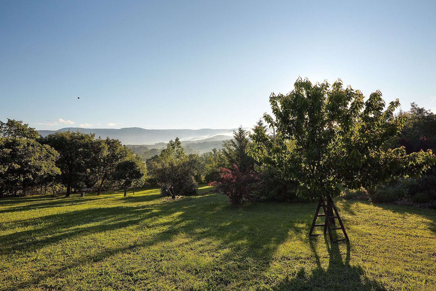 Belle maison traditionnelle avec vue en Provence