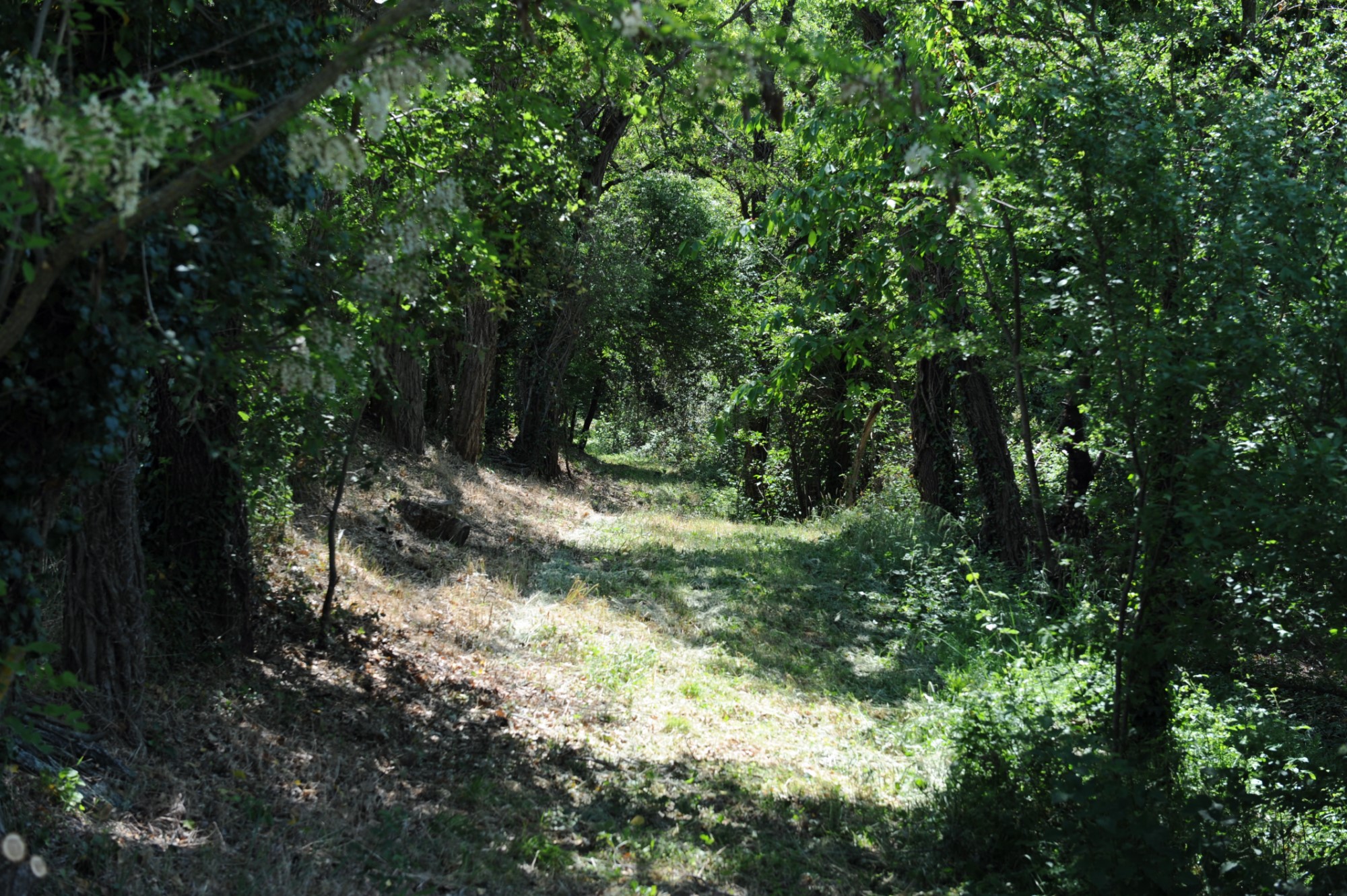 Belle ferme avec immenses dépendances à rénover sur 15 hectares au coeur du Luberon   