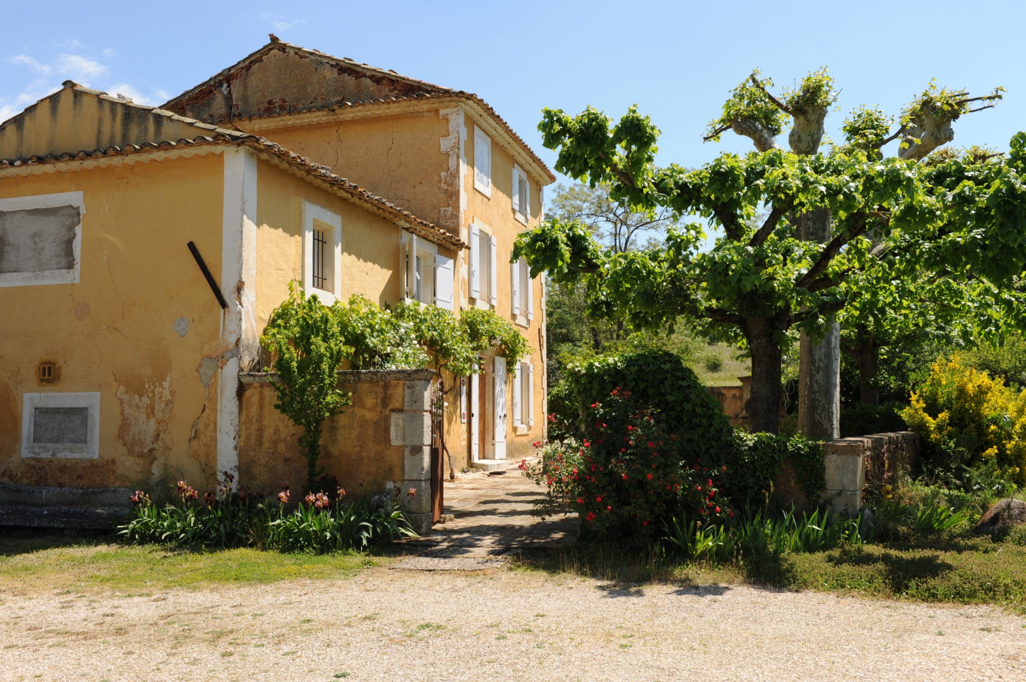 Belle ferme avec immenses dépendances à rénover sur 15 hectares au coeur du Luberon   