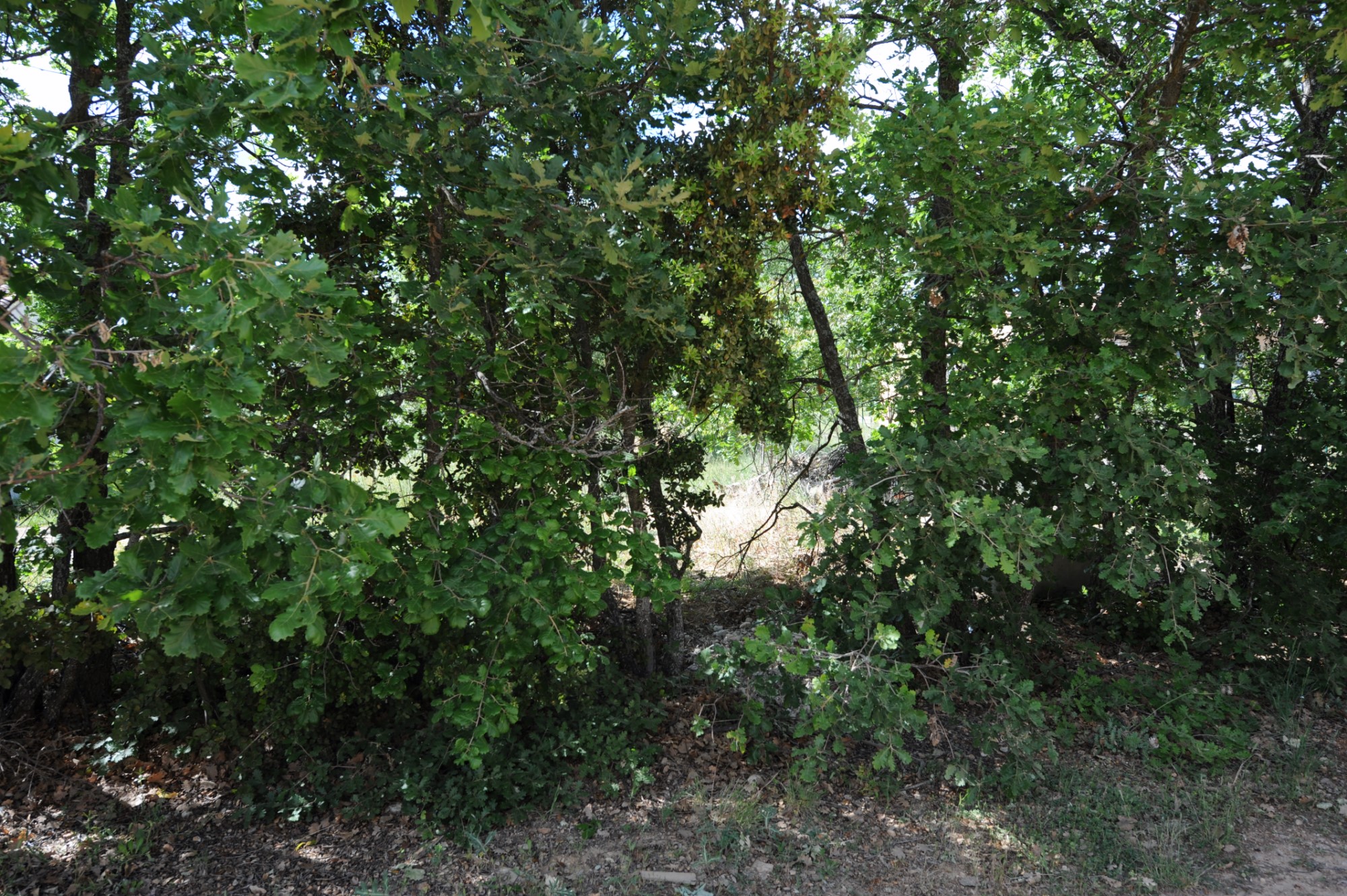 Plot of land with building permit