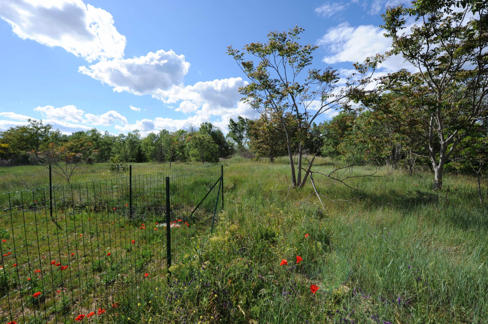Luberon, terrain constructible avec permis accordé   