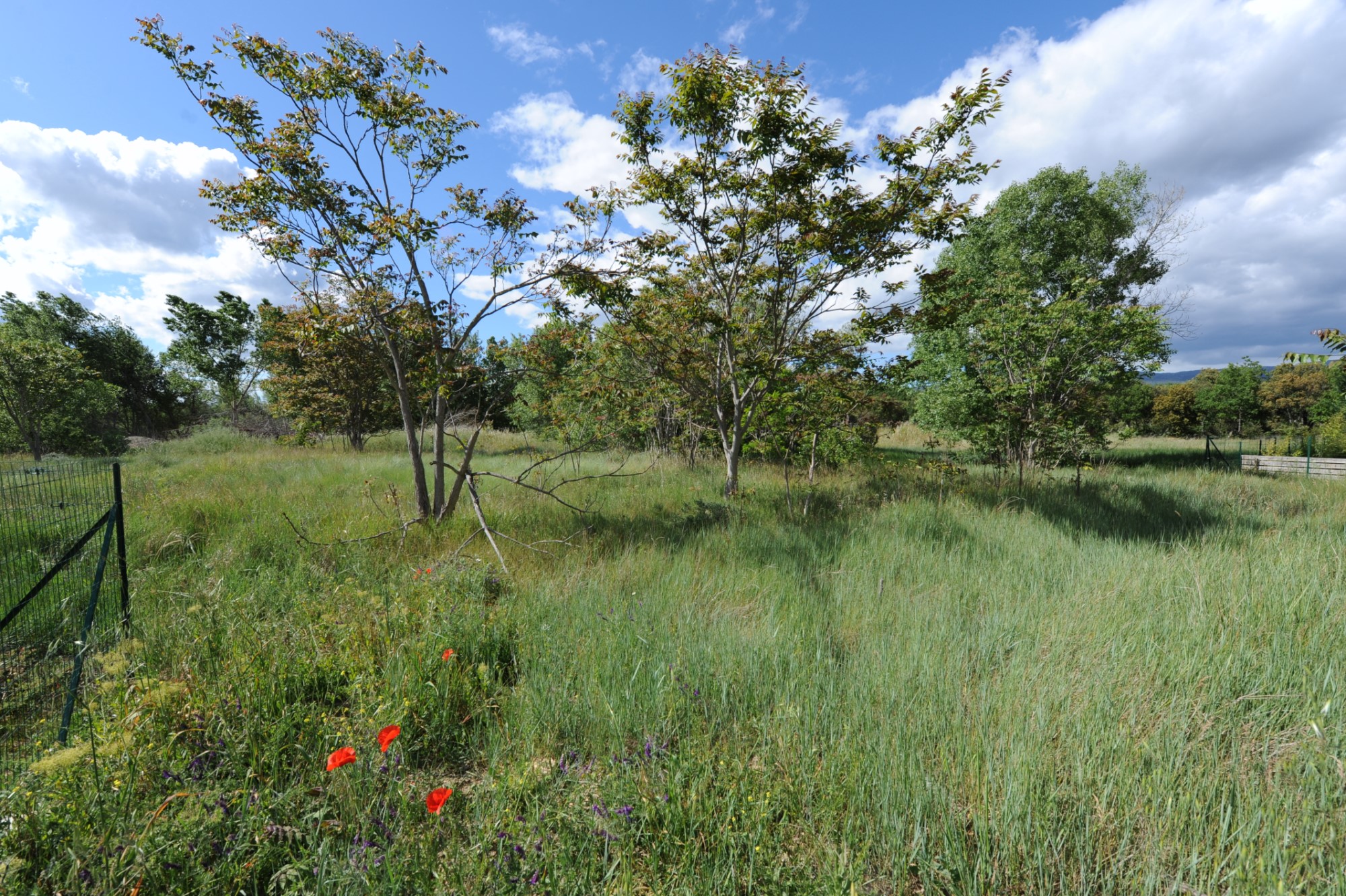 Luberon, terrain constructible avec permis accordé   