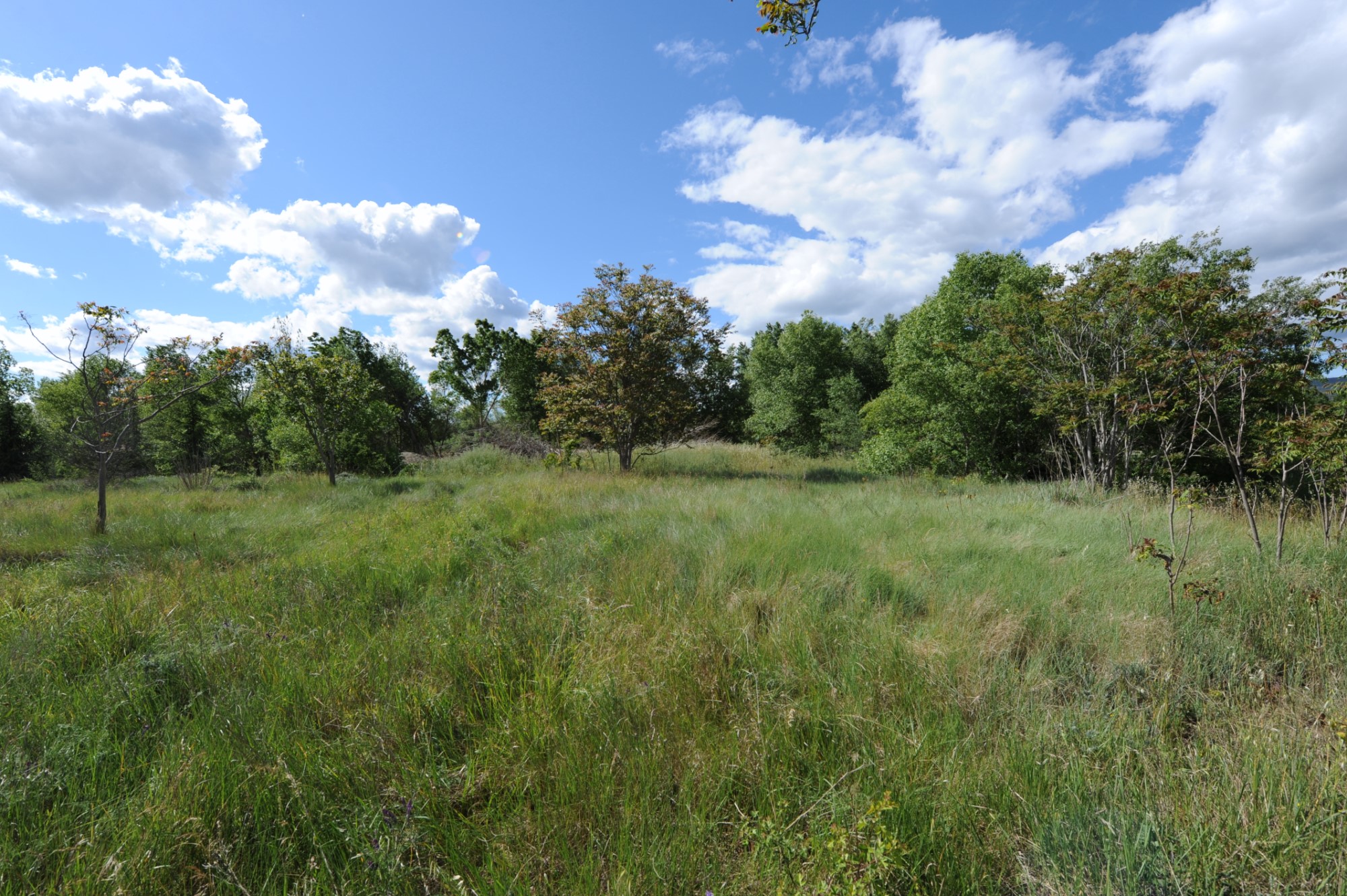 Luberon, terrain constructible avec permis accordé   