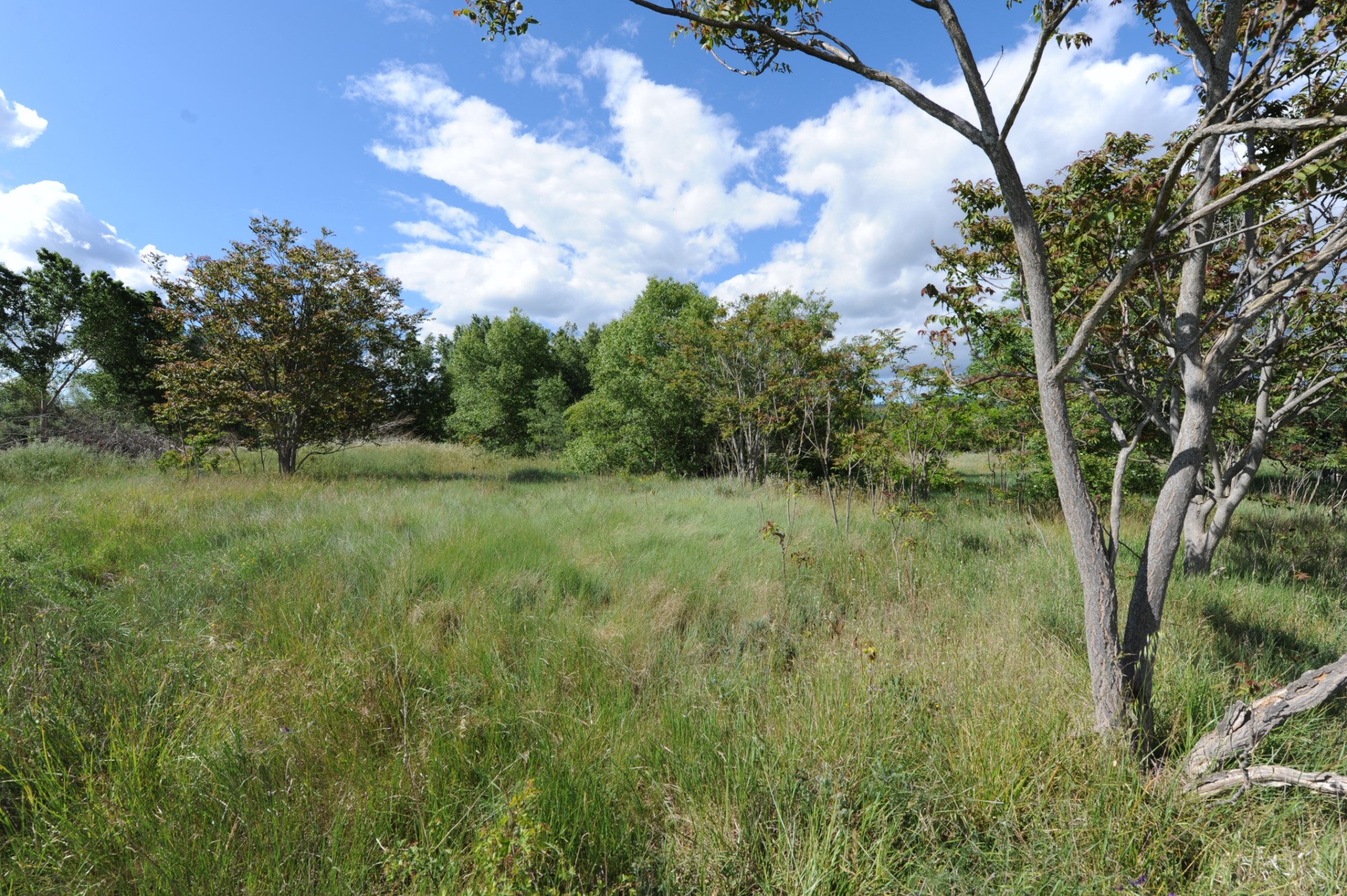 Terrain constructible en Provence