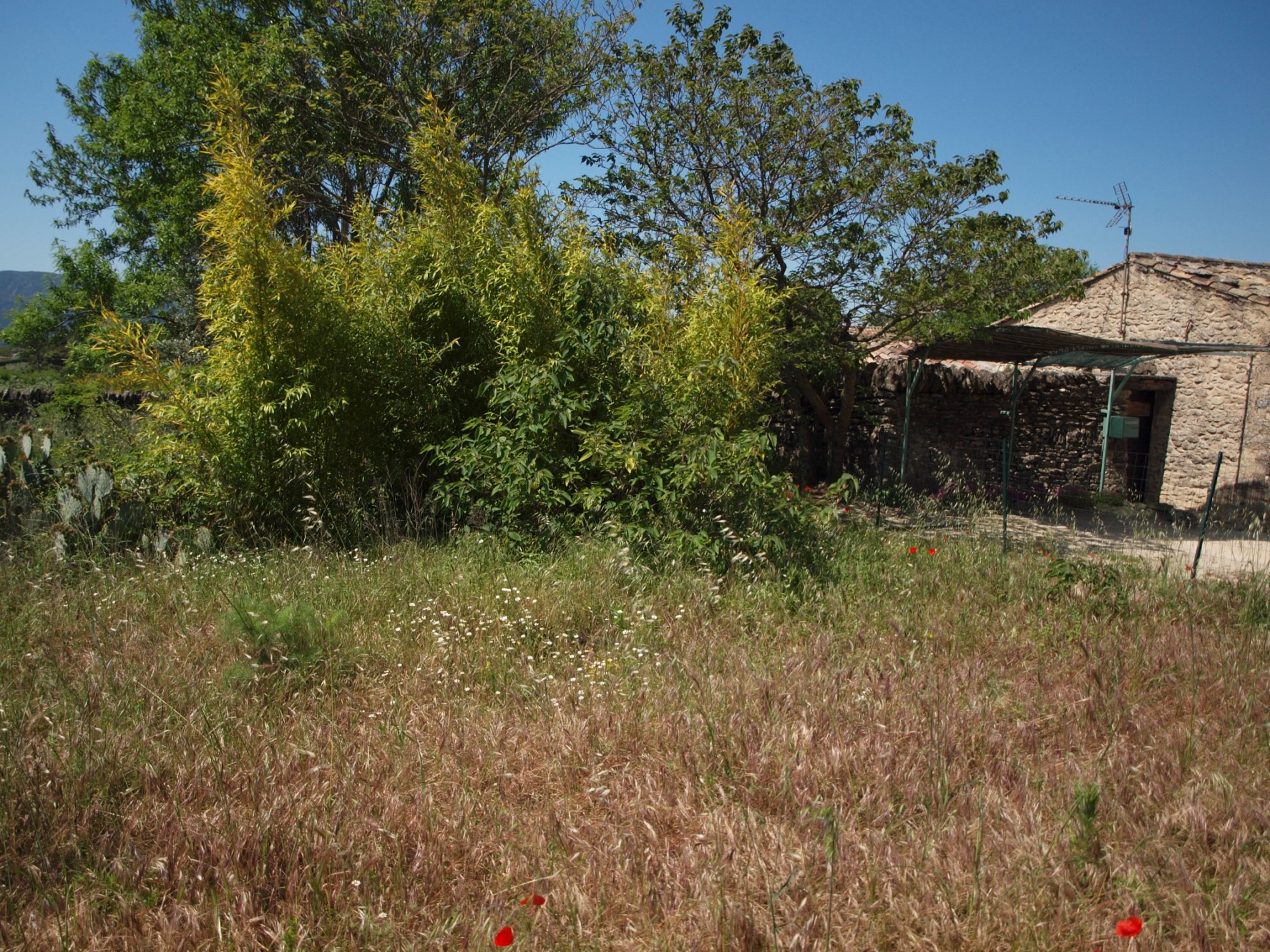 Très beau terrain à vendre sur Gordes   
