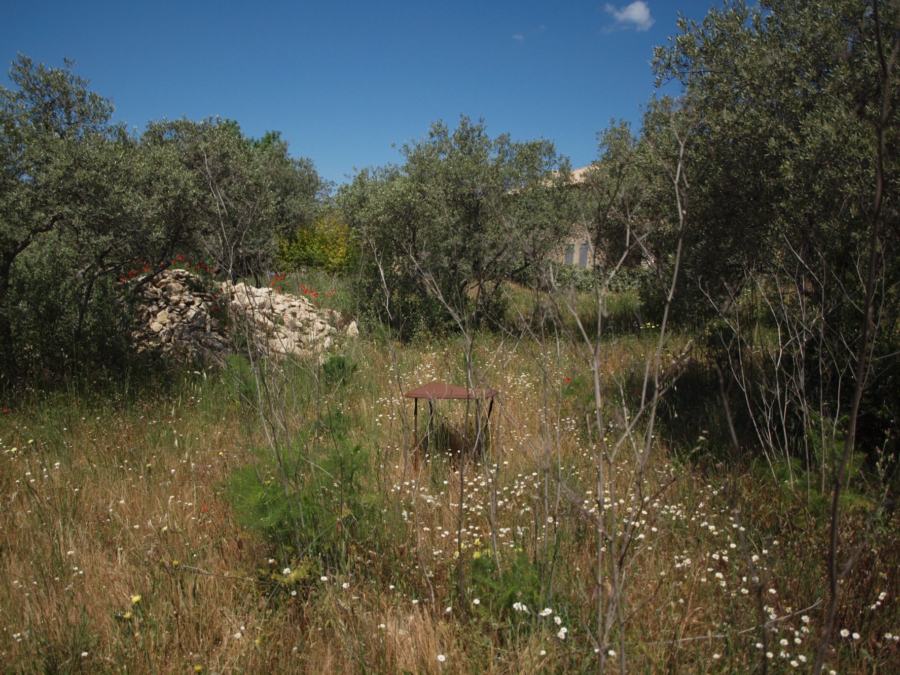 Terrain constructible avec permis obtenu dans le Luberon