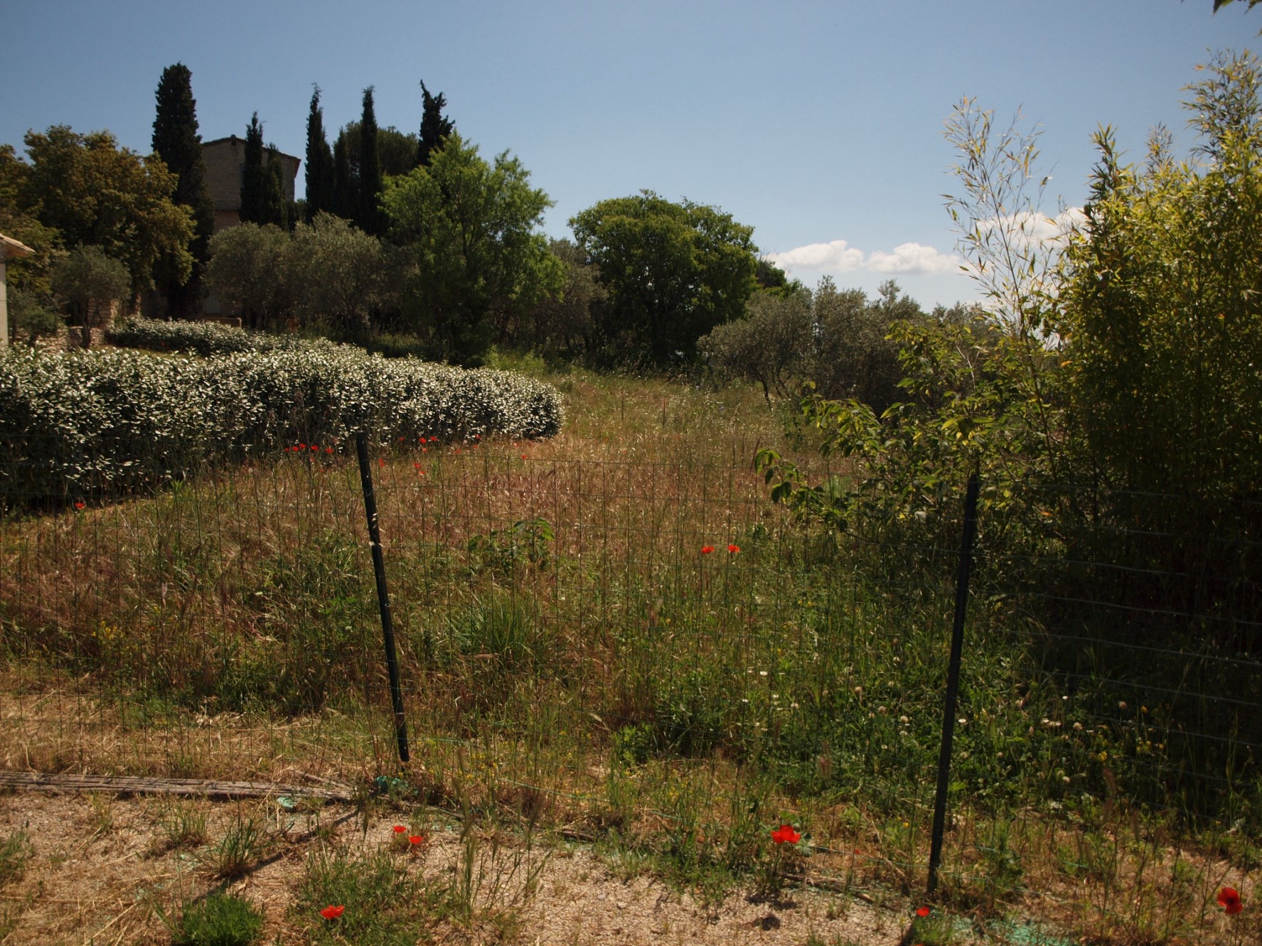 Très beau terrain à vendre sur Gordes   