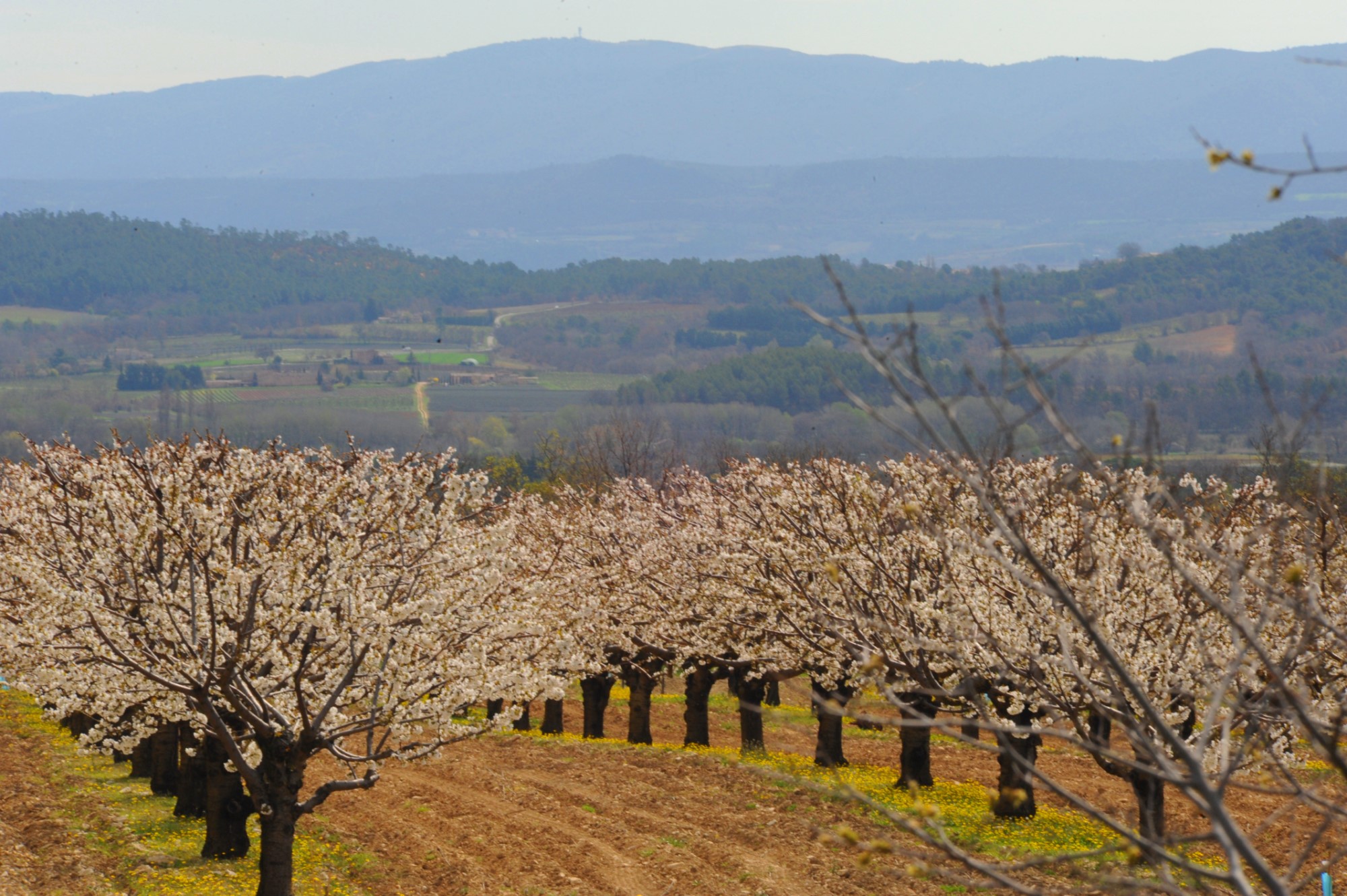 Luberon, à vendre, ancienne ferme en pierres, sur 3 500 m² avec vue 