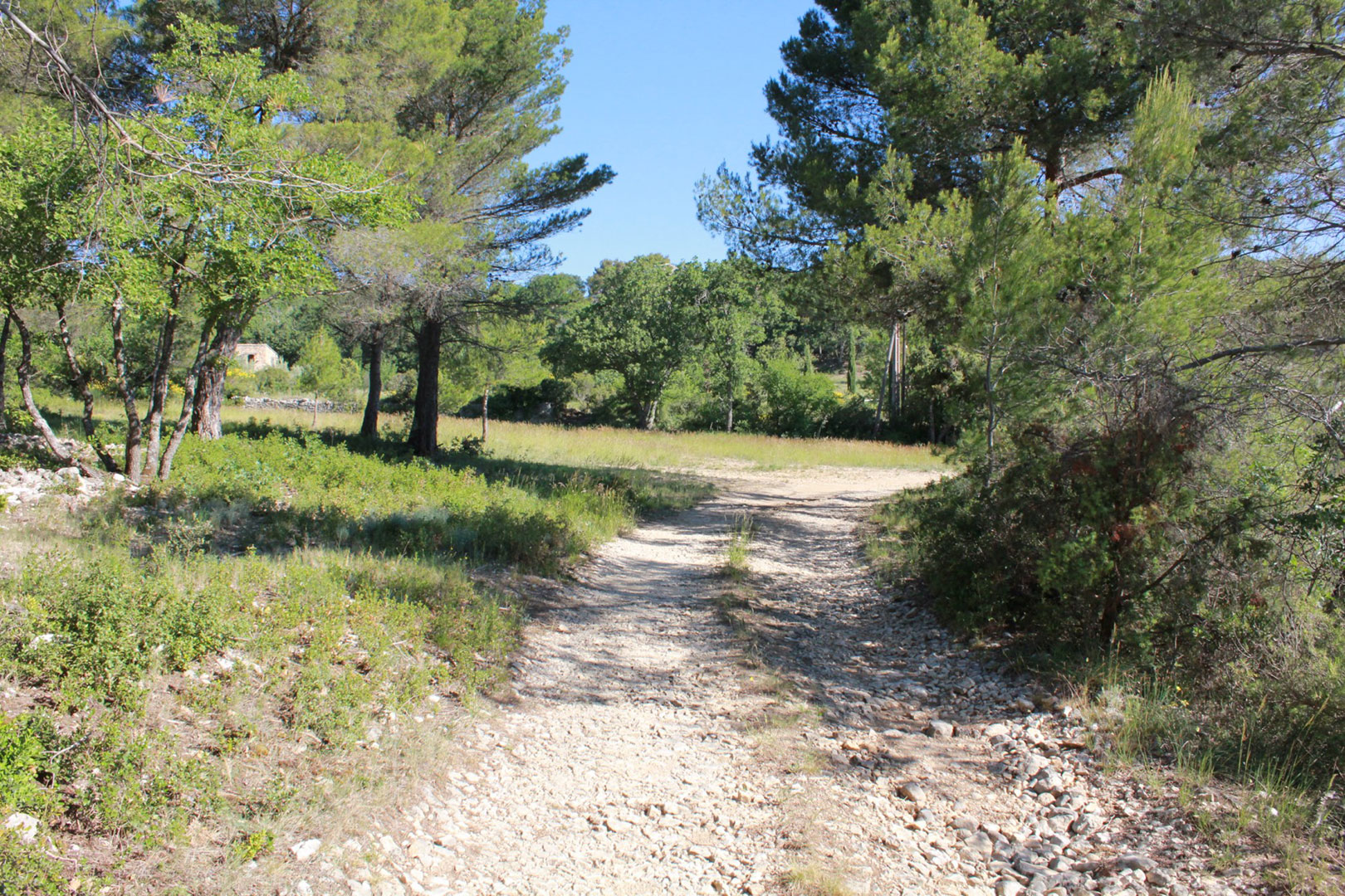 Beau terrain constructible à la vente à Joucas