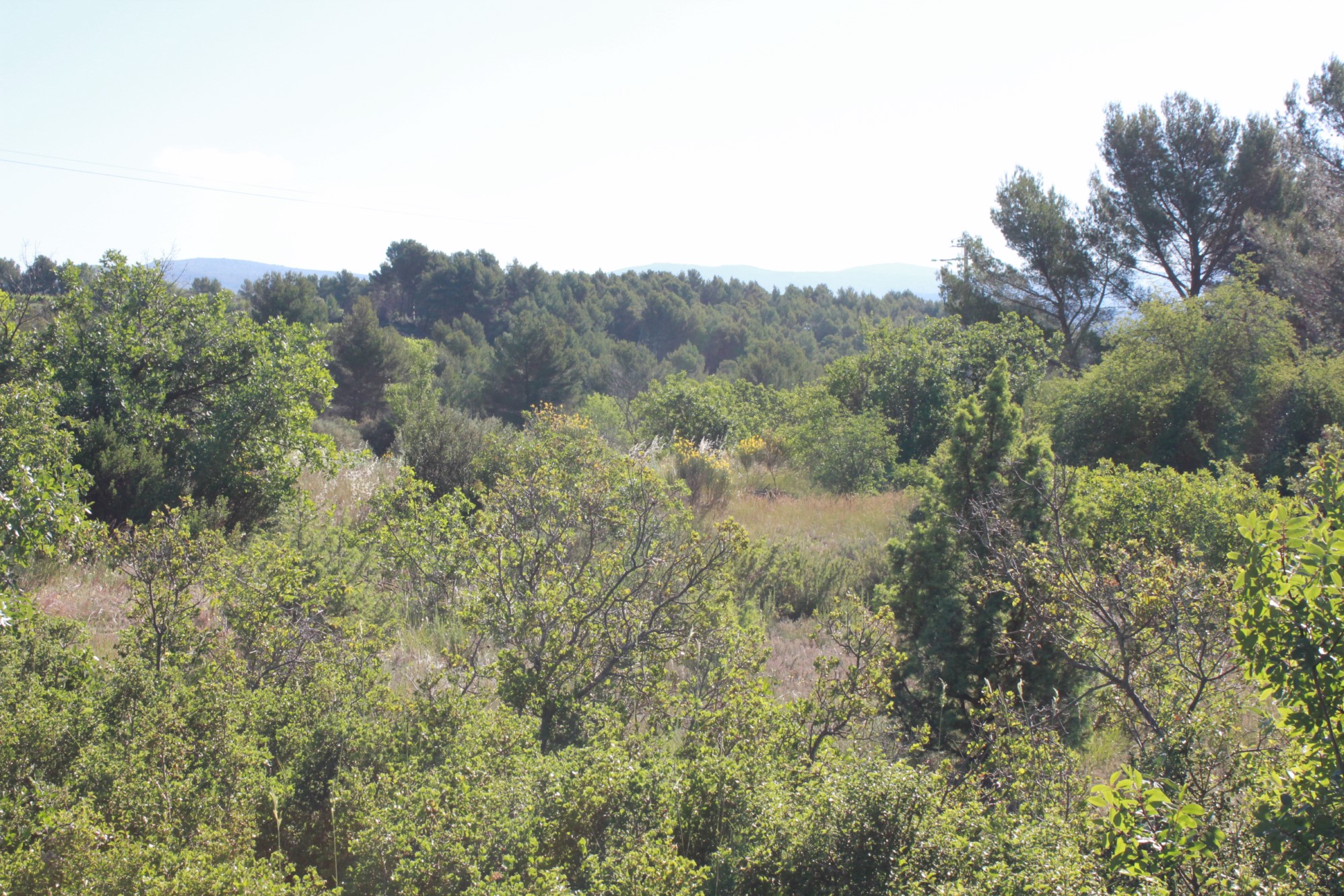 Beau terrain constructible à la vente en Provence