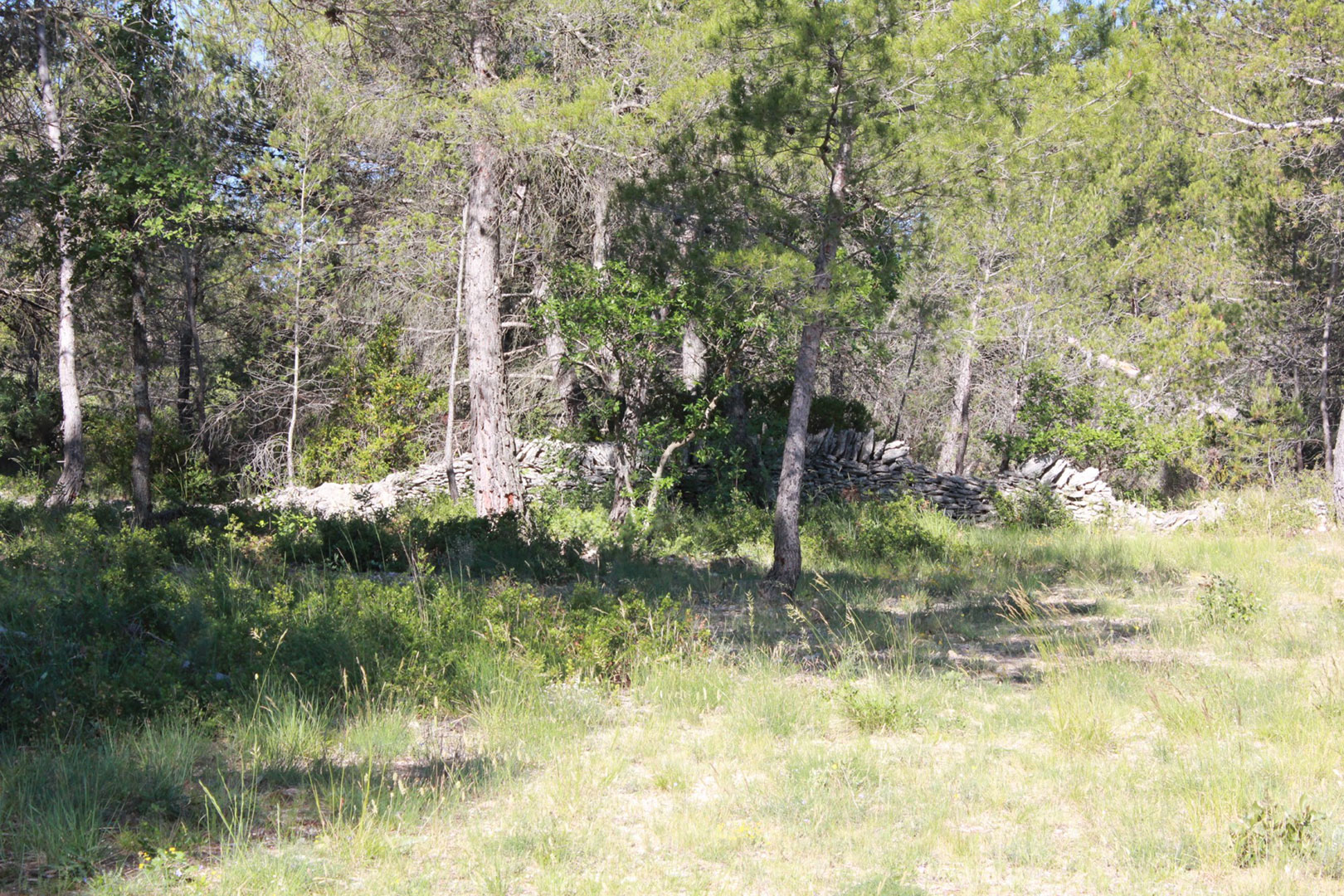 Très beau terrain constructible sur la commune de Joucas   , à vendre
