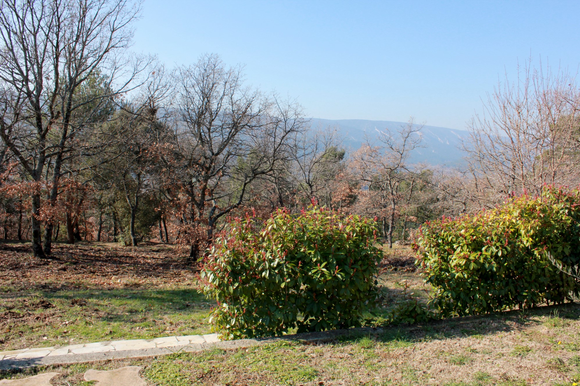 Maison traditionnelle avec piscine et vue sur le Luberon     