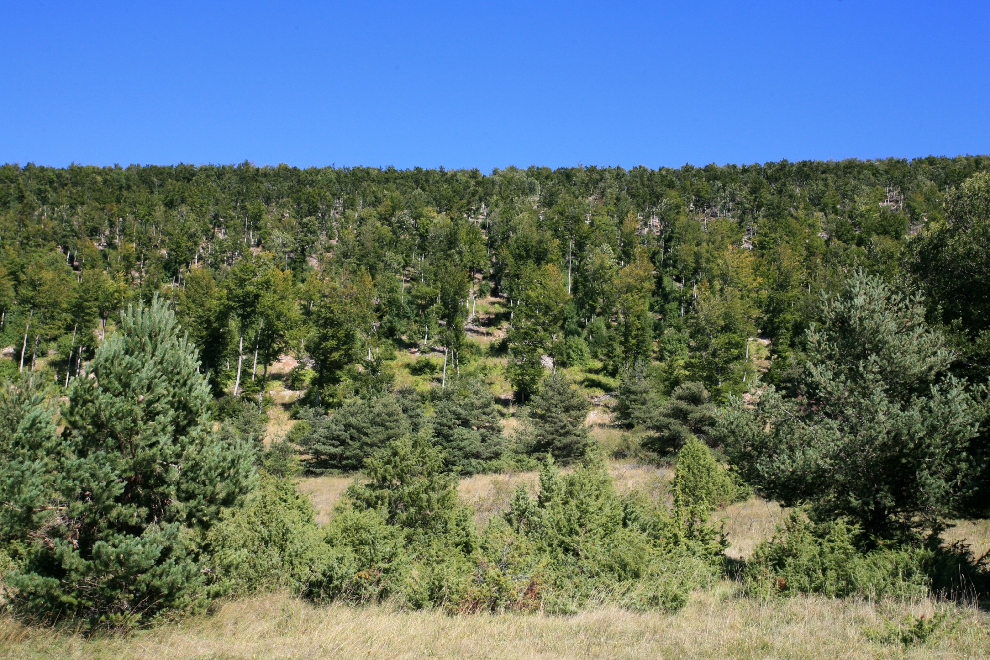 A vendre, en Luberon ancienne ferme du XVème siècle,  sur une soixantaine d'hectares 