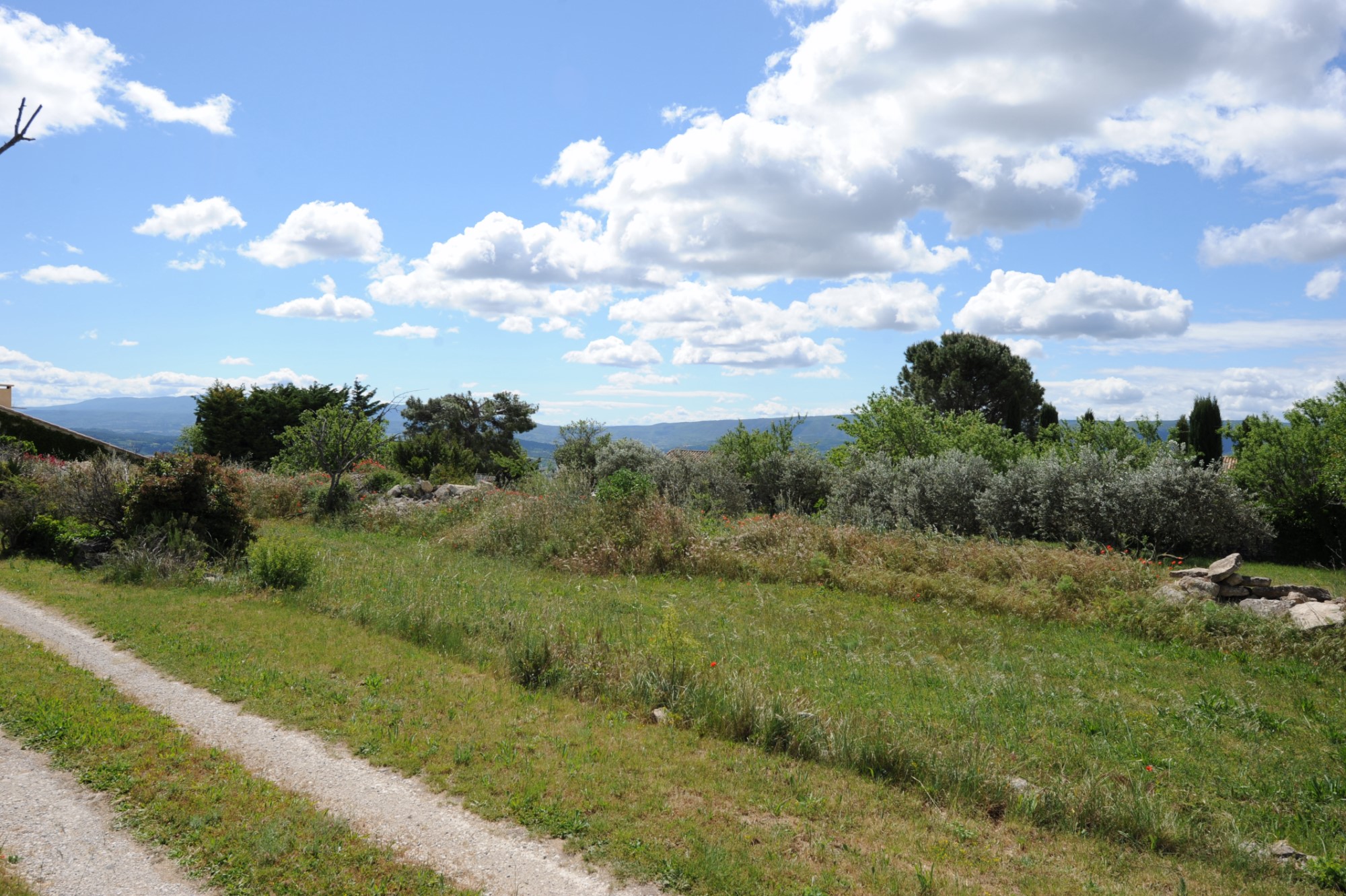 Terrain à vendre dans le Triangle d'Or