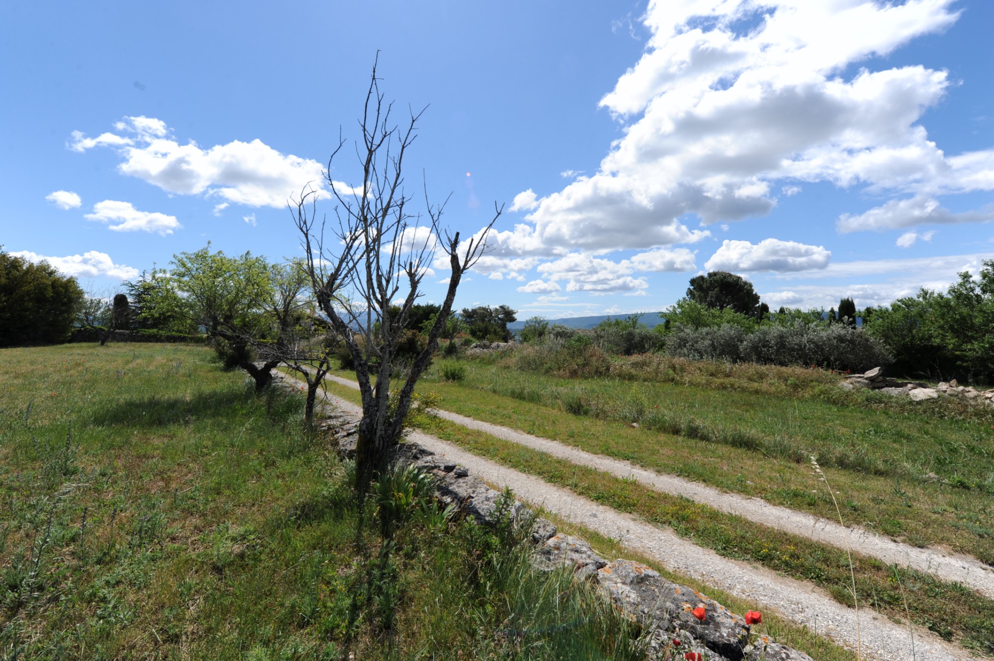 Terrain à vendre à Gordes