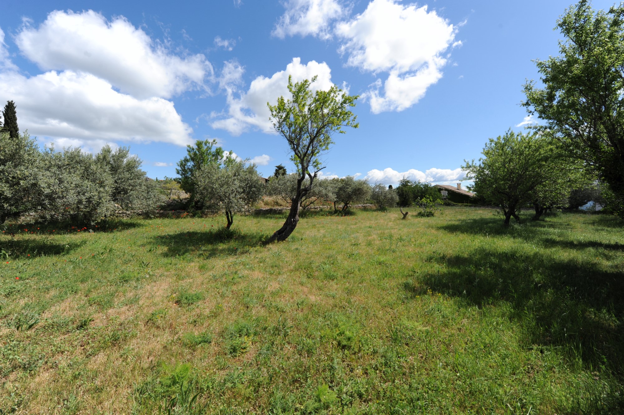 Terrain à vendre en Luberon