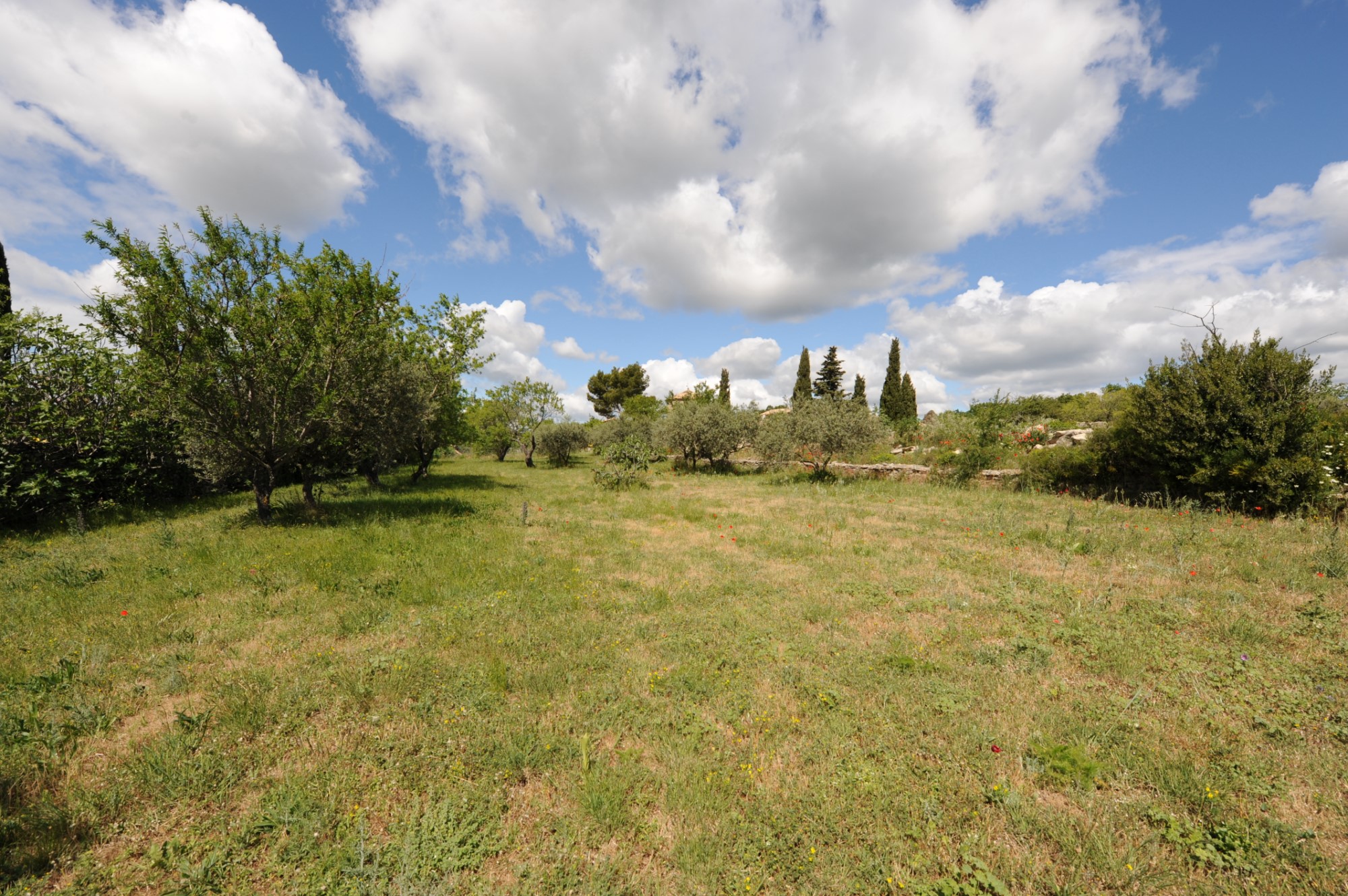 Terrain à vendre en Luberon