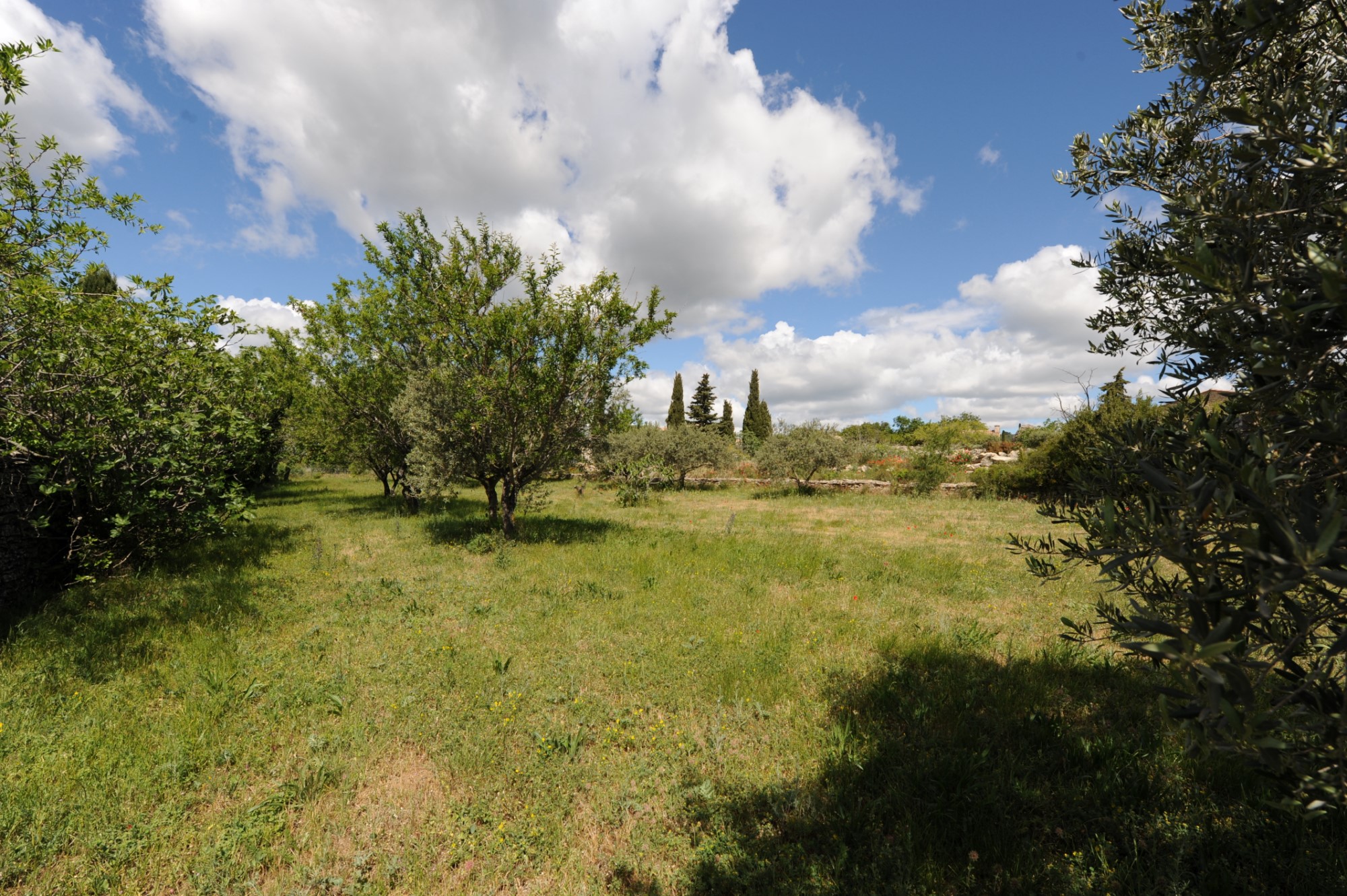 UNIQUE : terrain à bâtir au centre du village de Gordes   