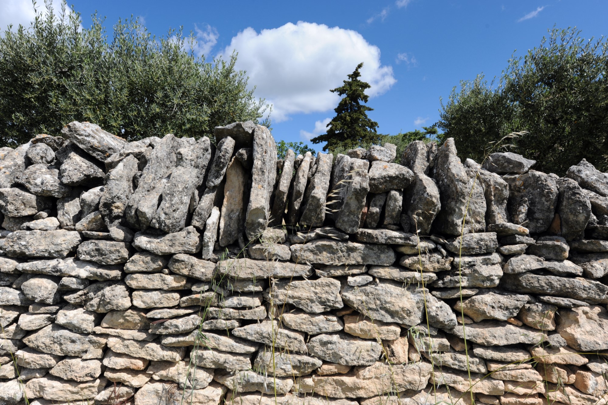UNIQUE : terrain à bâtir au centre du village de Gordes   