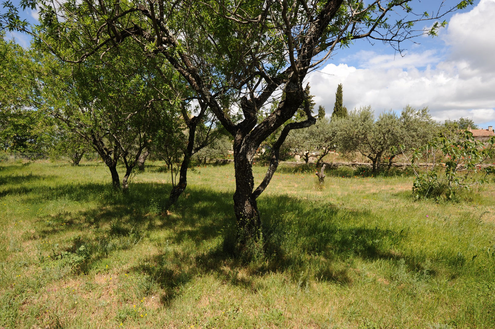 UNIQUE : terrain à bâtir au centre du village de Gordes   