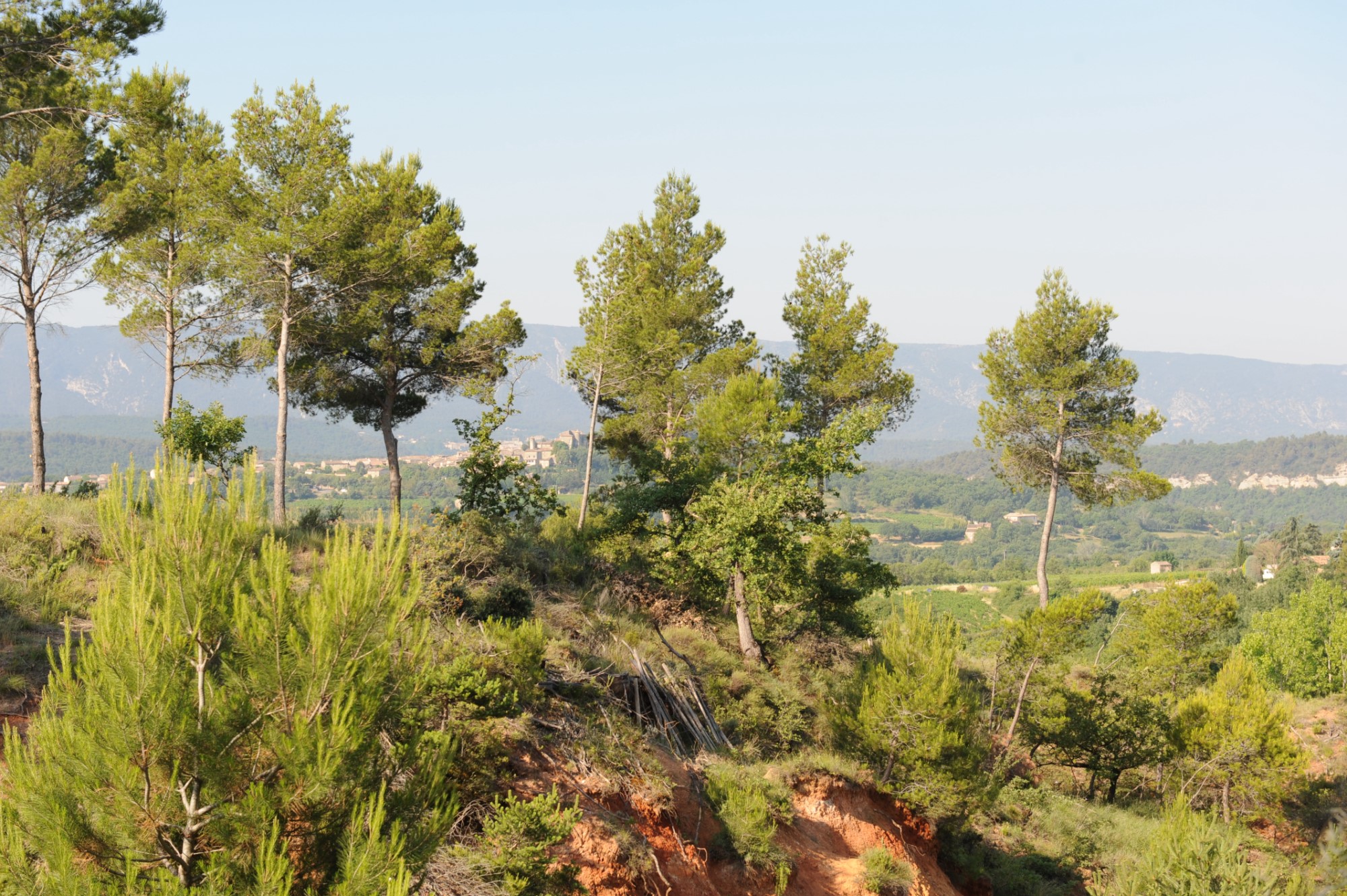 Maison avec vue à vendre en Provence