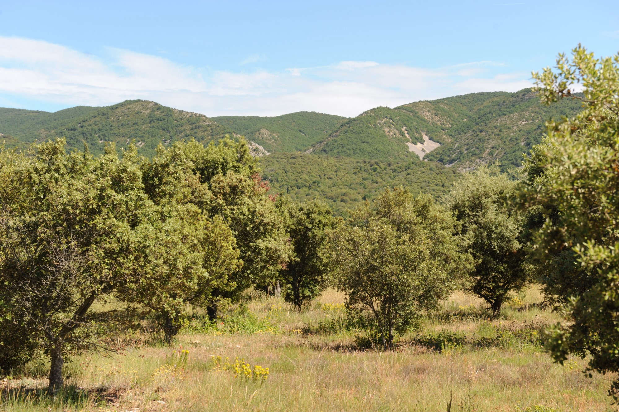 Property with view for sale in Provence