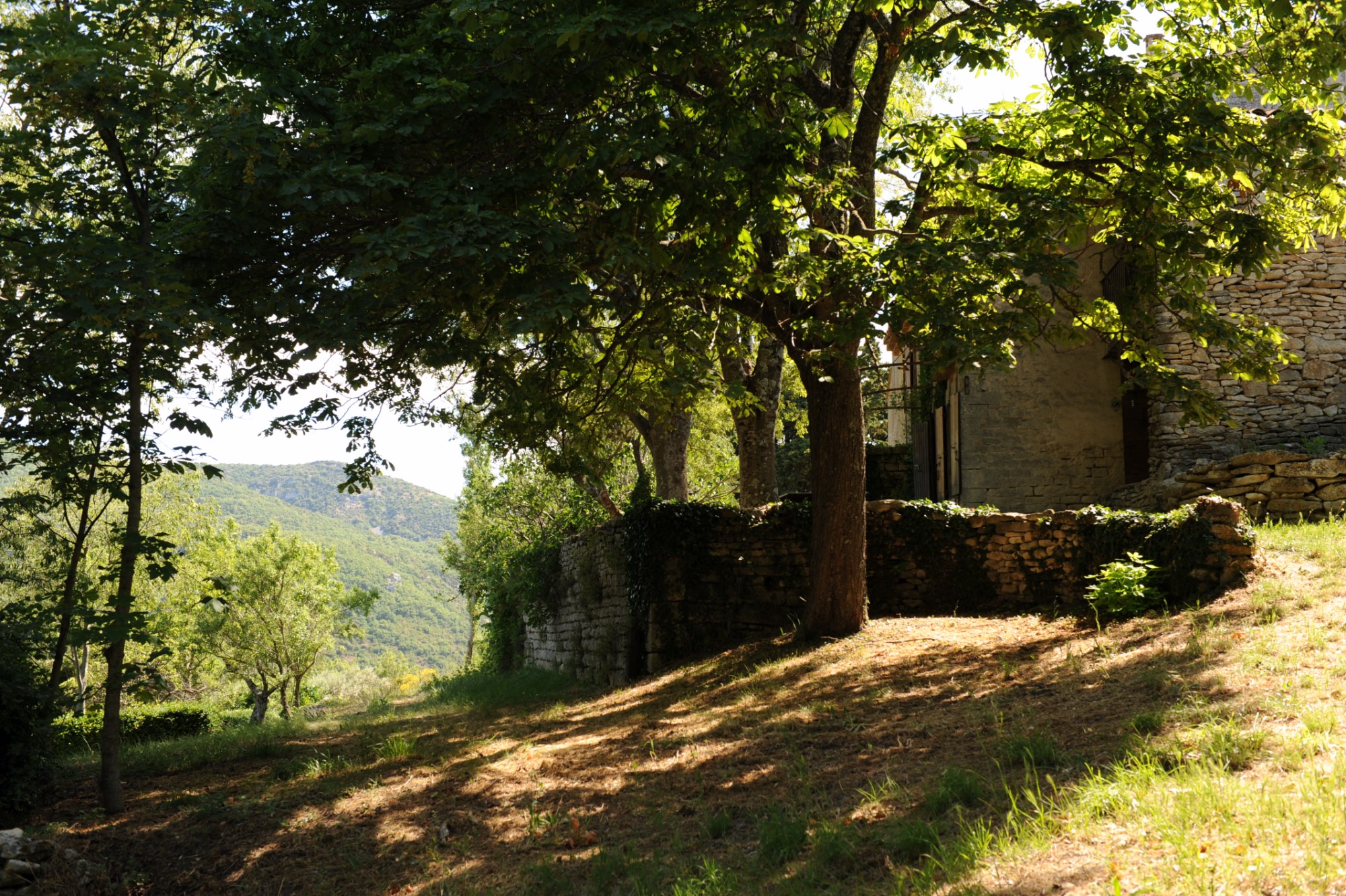 authentique mas sur 9 hectares au coeur du Luberon   