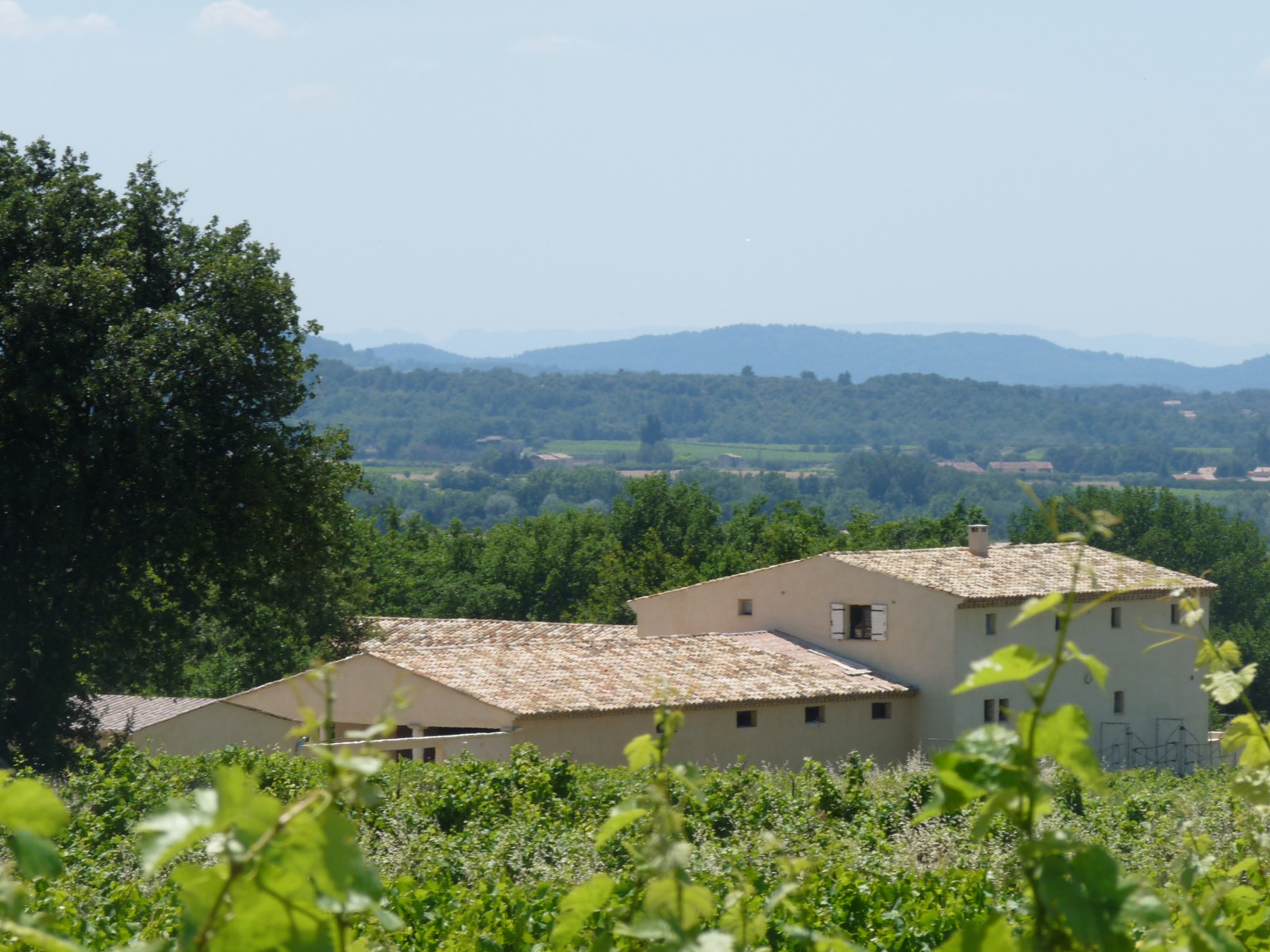 Acheter un domaine équestre avec de nombreux hectares pour mes chevaux entre Alpille, Luberon et Mont Ventoux.