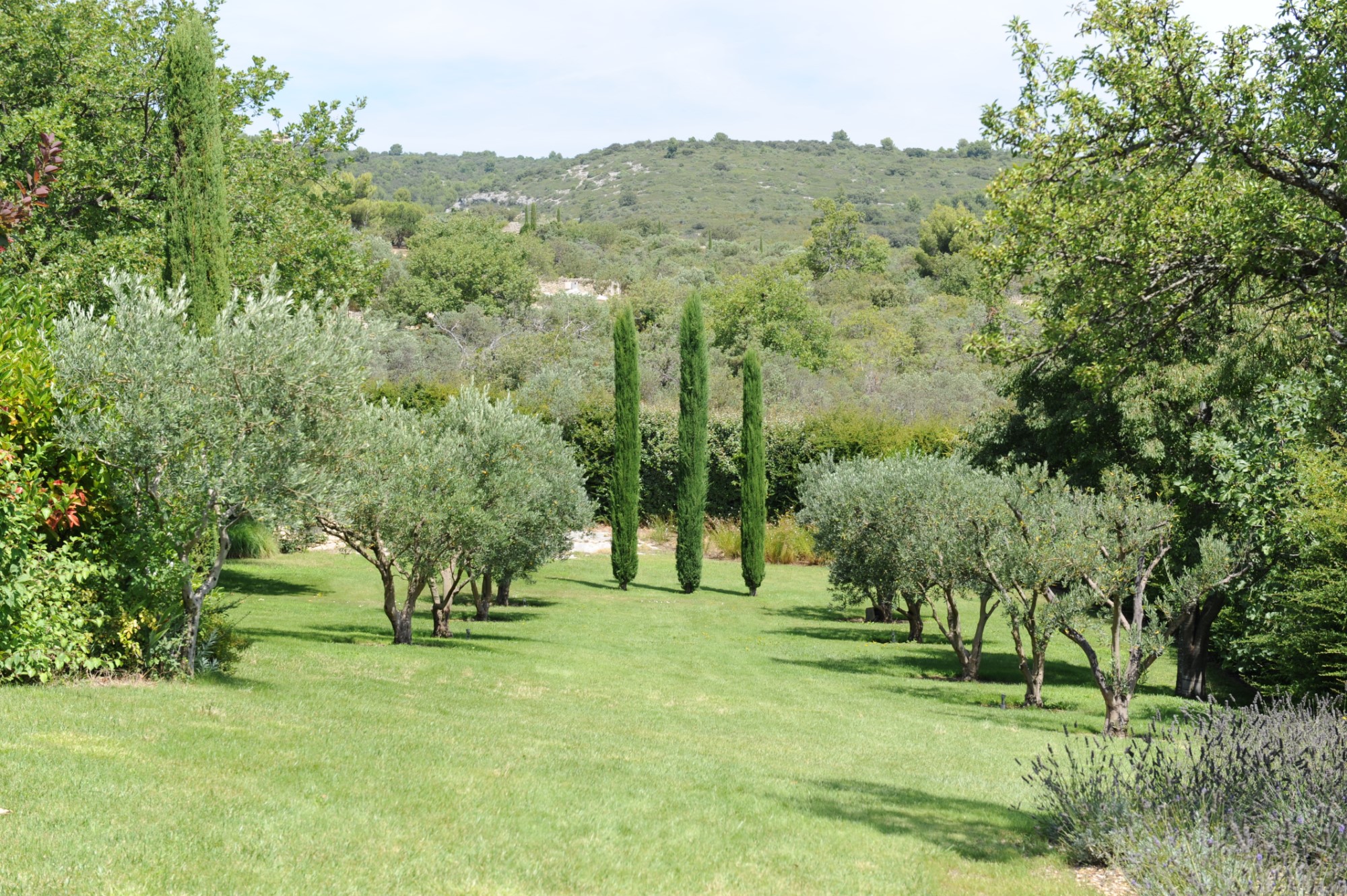 A Gordes, en vente,  propriété d'agrément avec parc paysager et piscine  