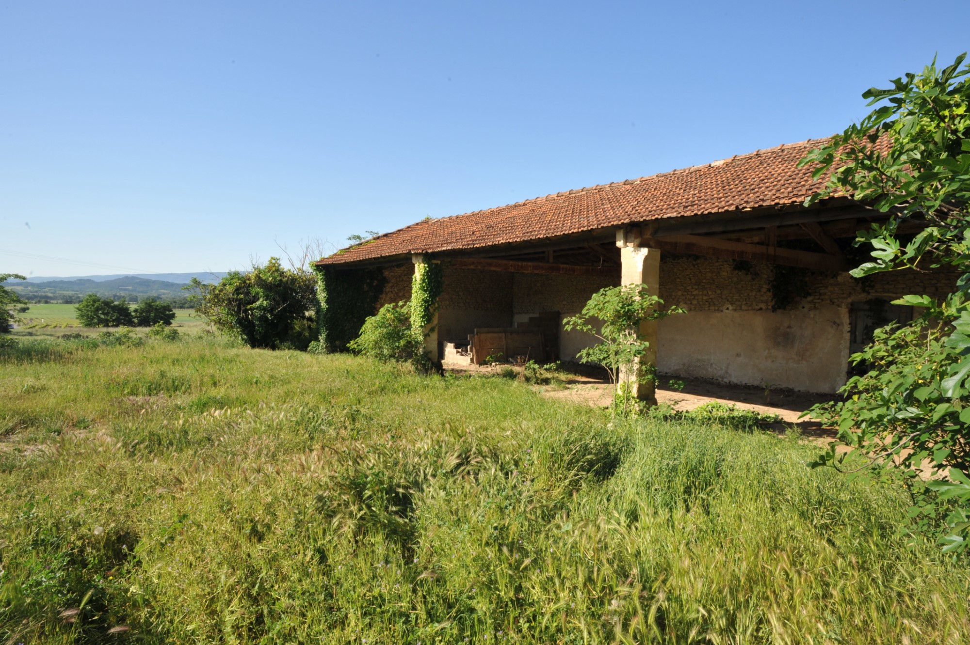 Vue dégagée en Provence