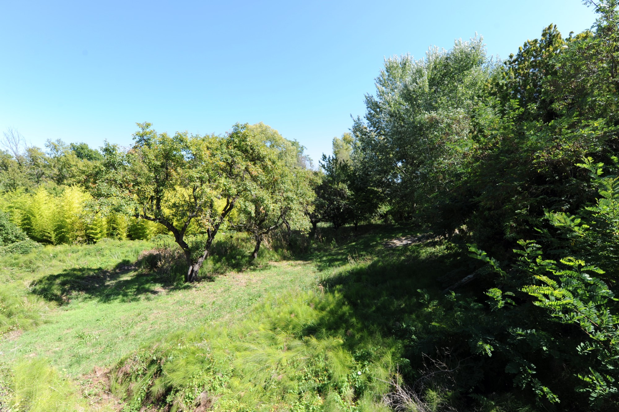 Propriété à rénover à vendre par ROSIER