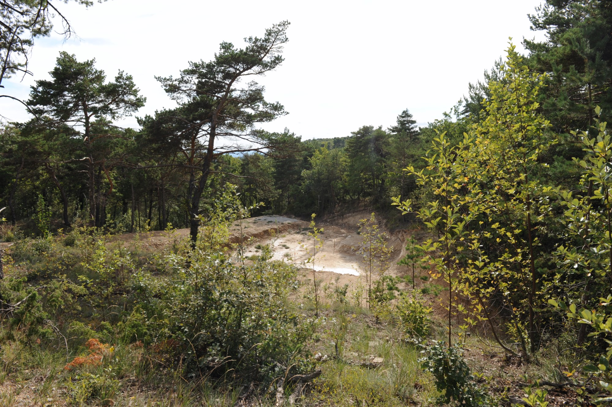 A vendre par ROSIER, terrain à bâtir avec permis en Provence