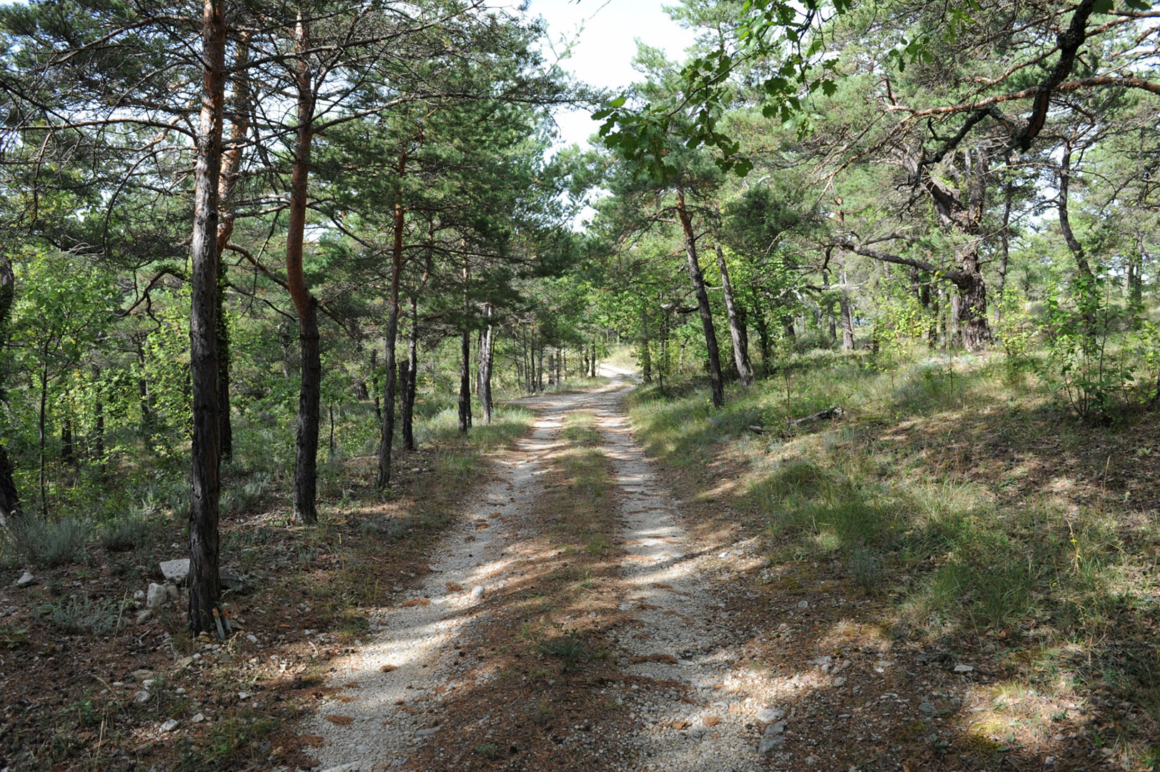 Terrain avec vue et permis, à bâtir près de Gordes   
