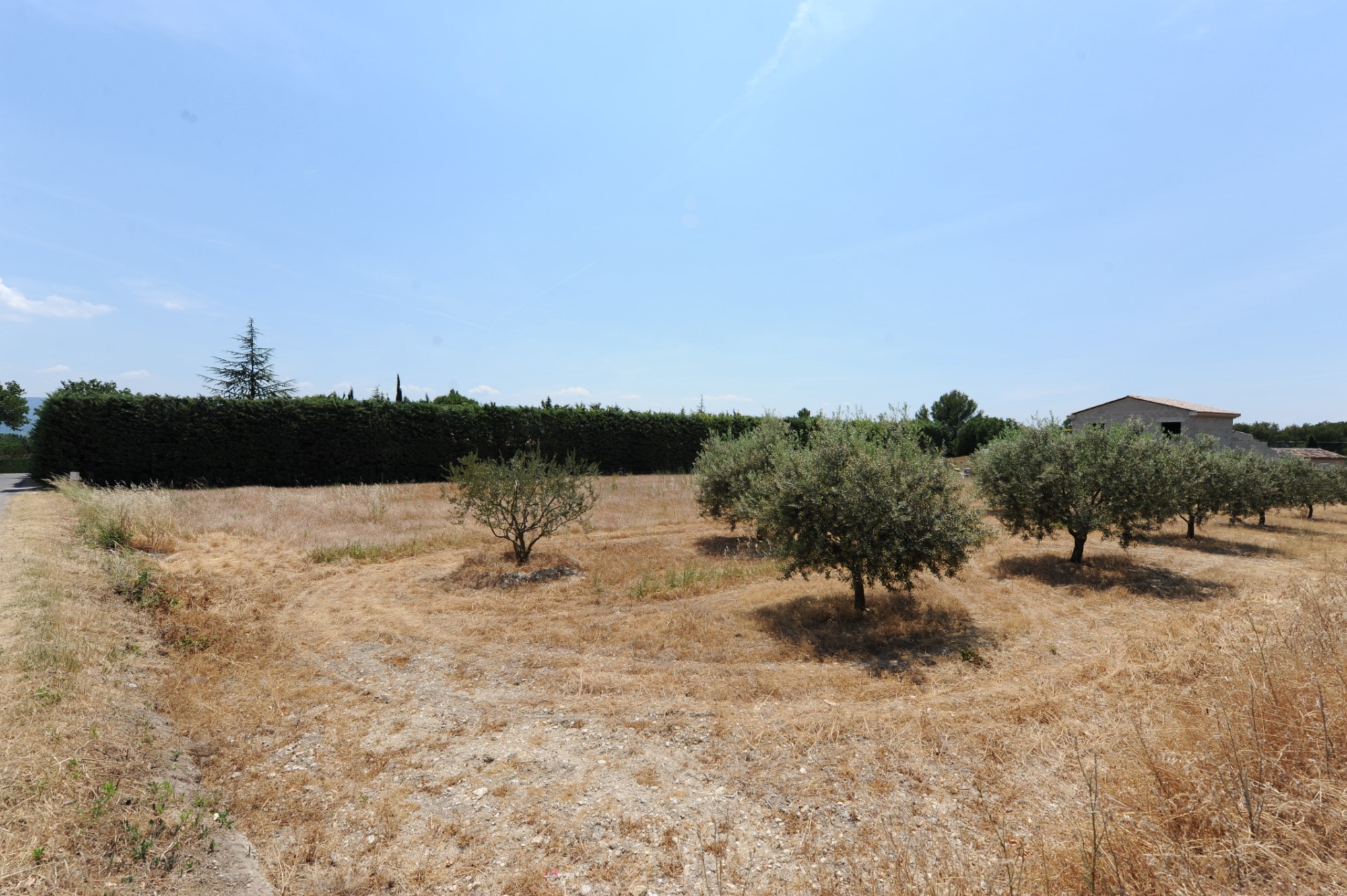 Terrain à bâtir à vendre par ROSIER