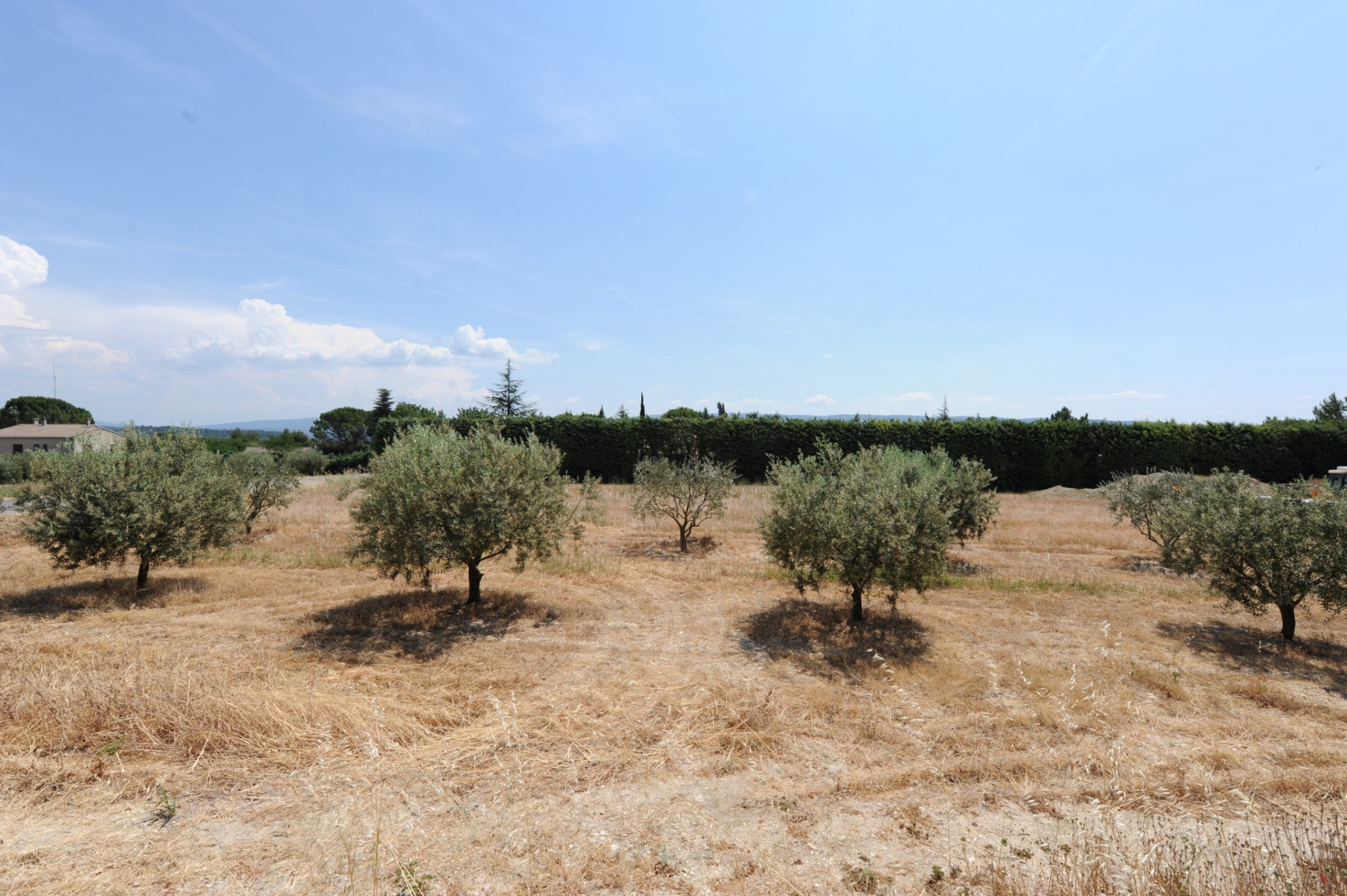 Terrain à bâtir à vendre en Luberon par ROSIER